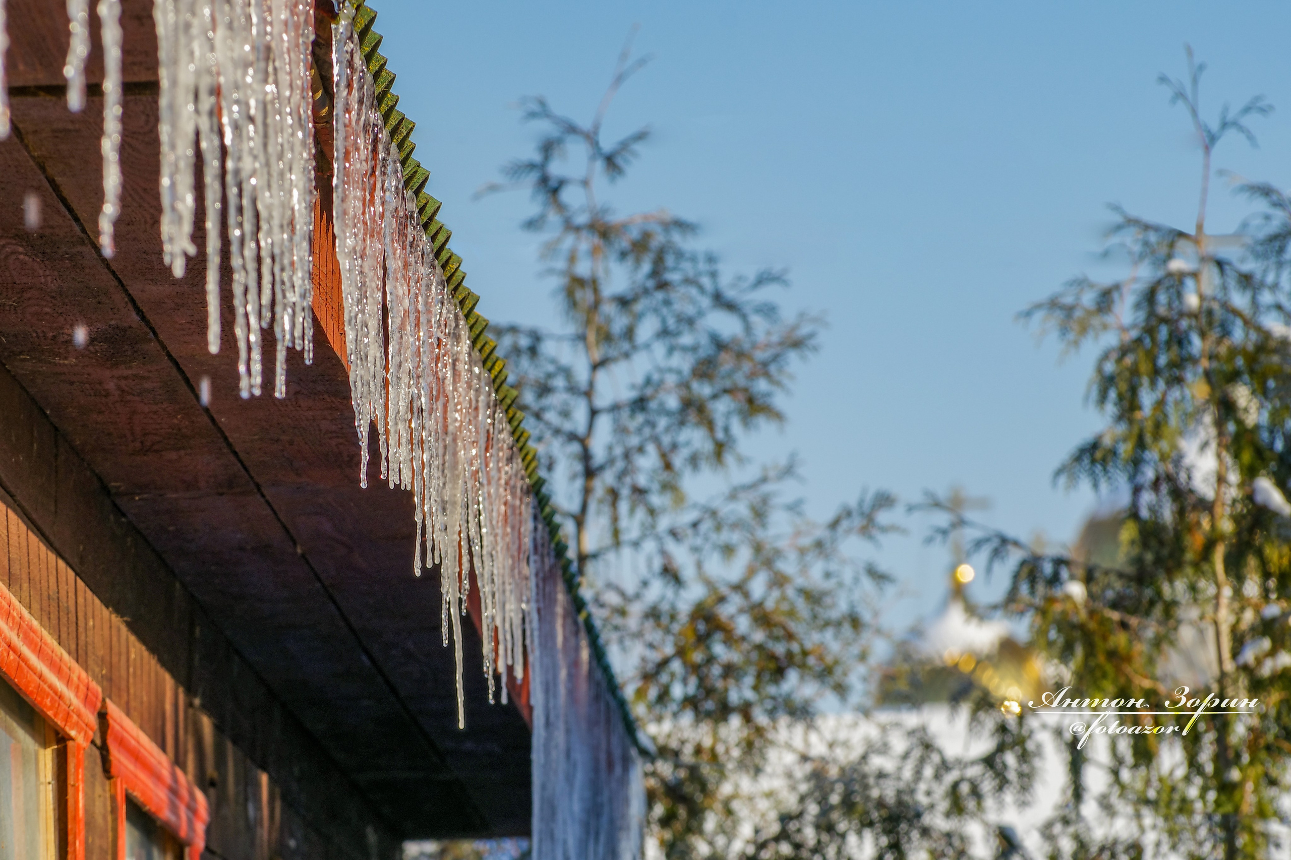 Конная охота. Семейный и детский фотограф Антон Зорин