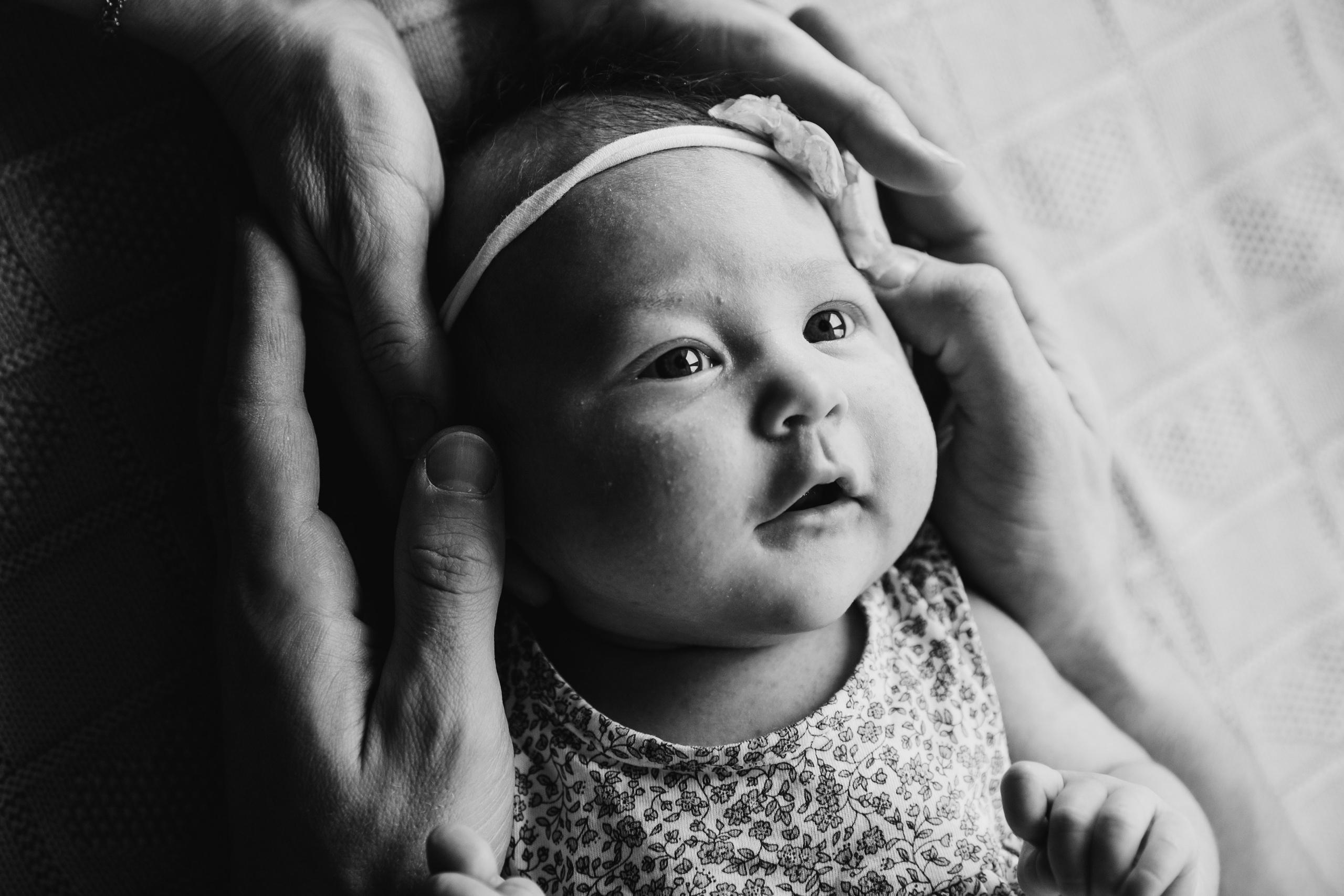 Малышка Стефания. Семейный фотограф в Санкт-Петербурге Алиса Мохова