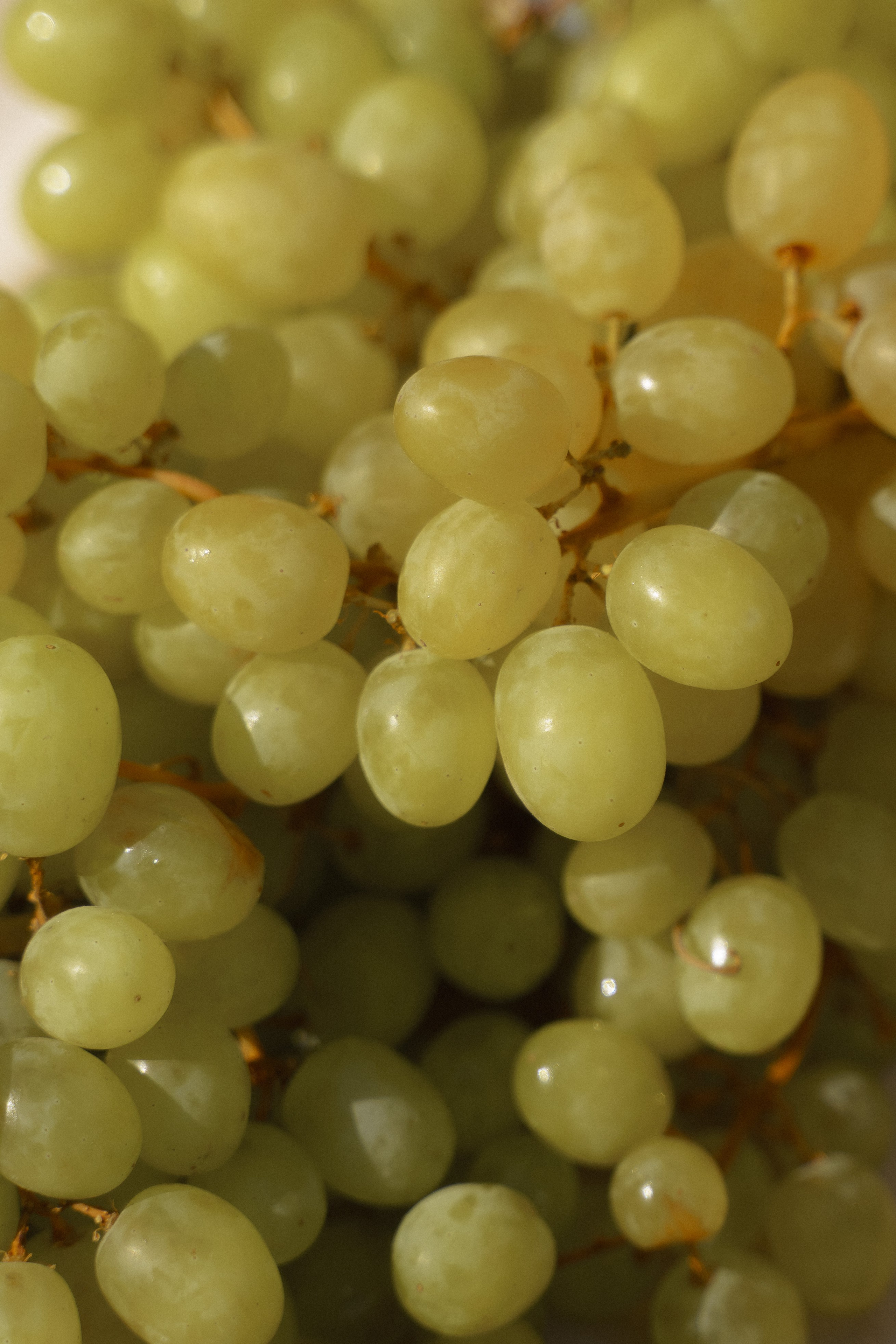 Александр и Дарья. Свадебный фотограф Анастасия Хабарова в Новоуральске и Екатеринбурге