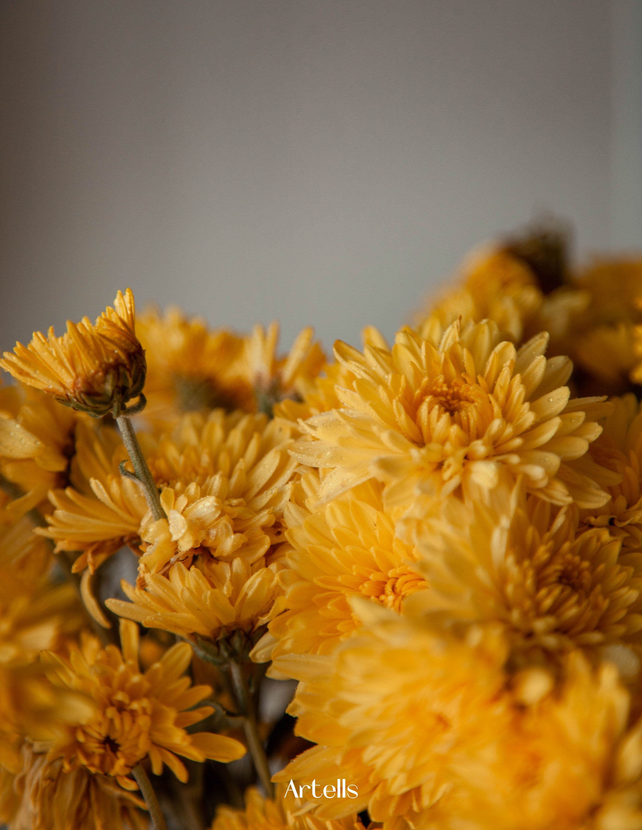 Публикации. Анастасия Воропаева — фотограф на роды СПб