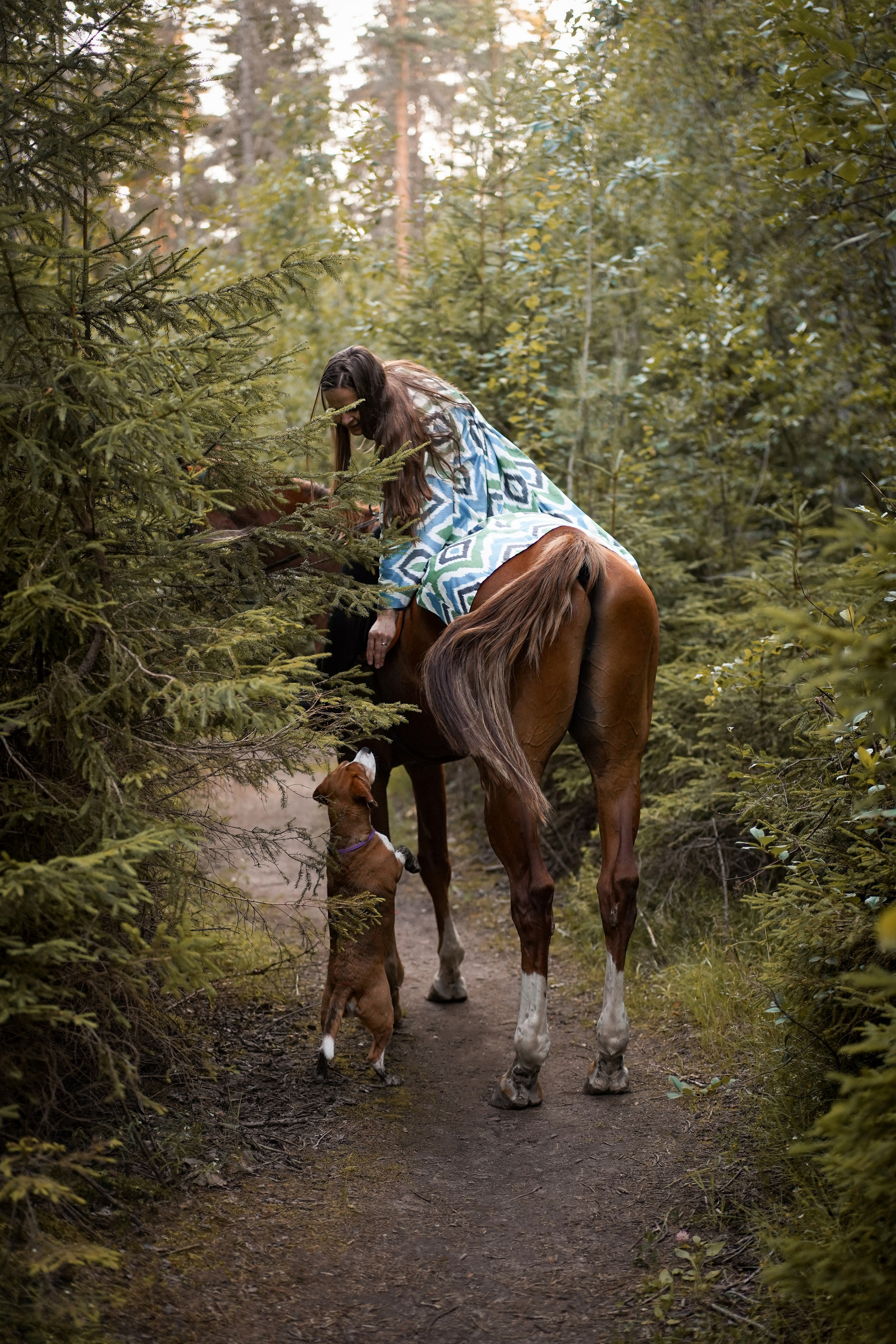 Лера Джон и Диамант. Фотограф-анималист в Санкт-Петербурге Яна Мартынова