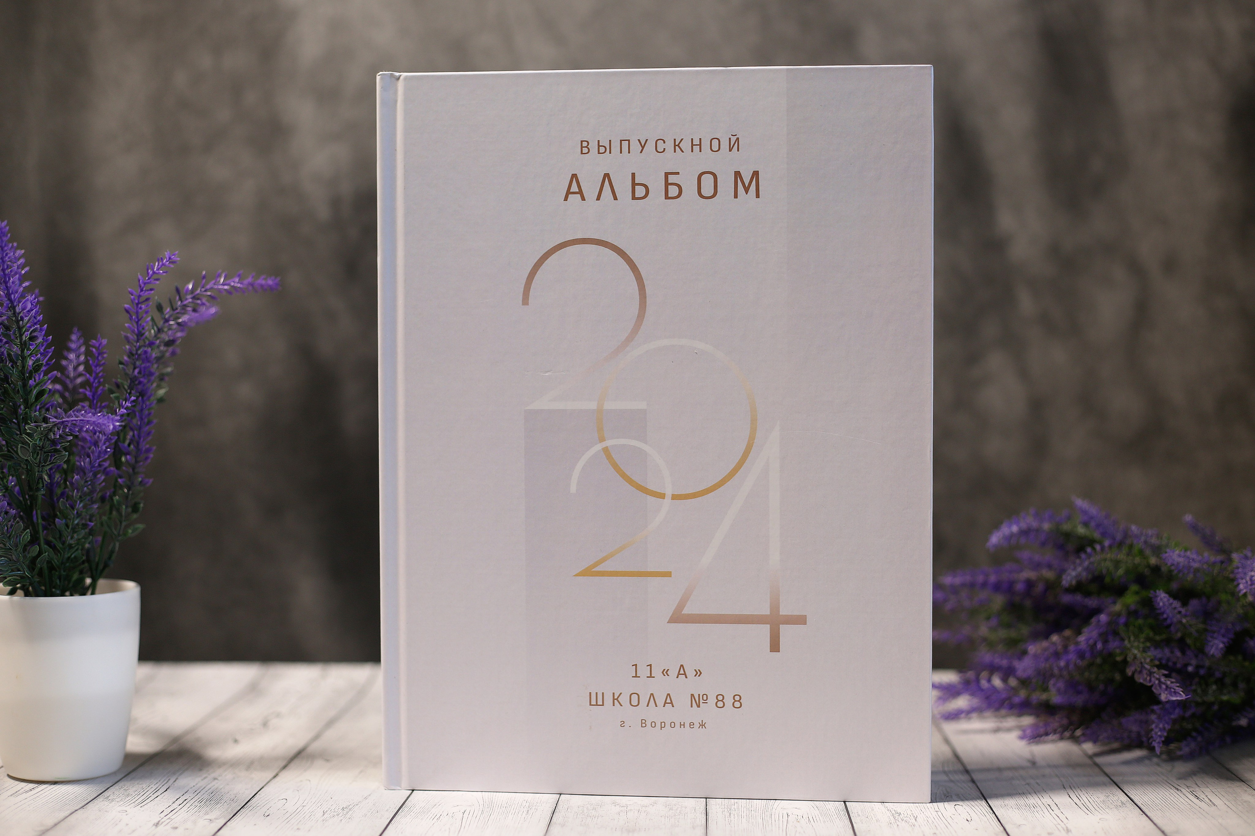 Варианты обложек. Выпускные альбомы Воронеж от Веры Соколовой