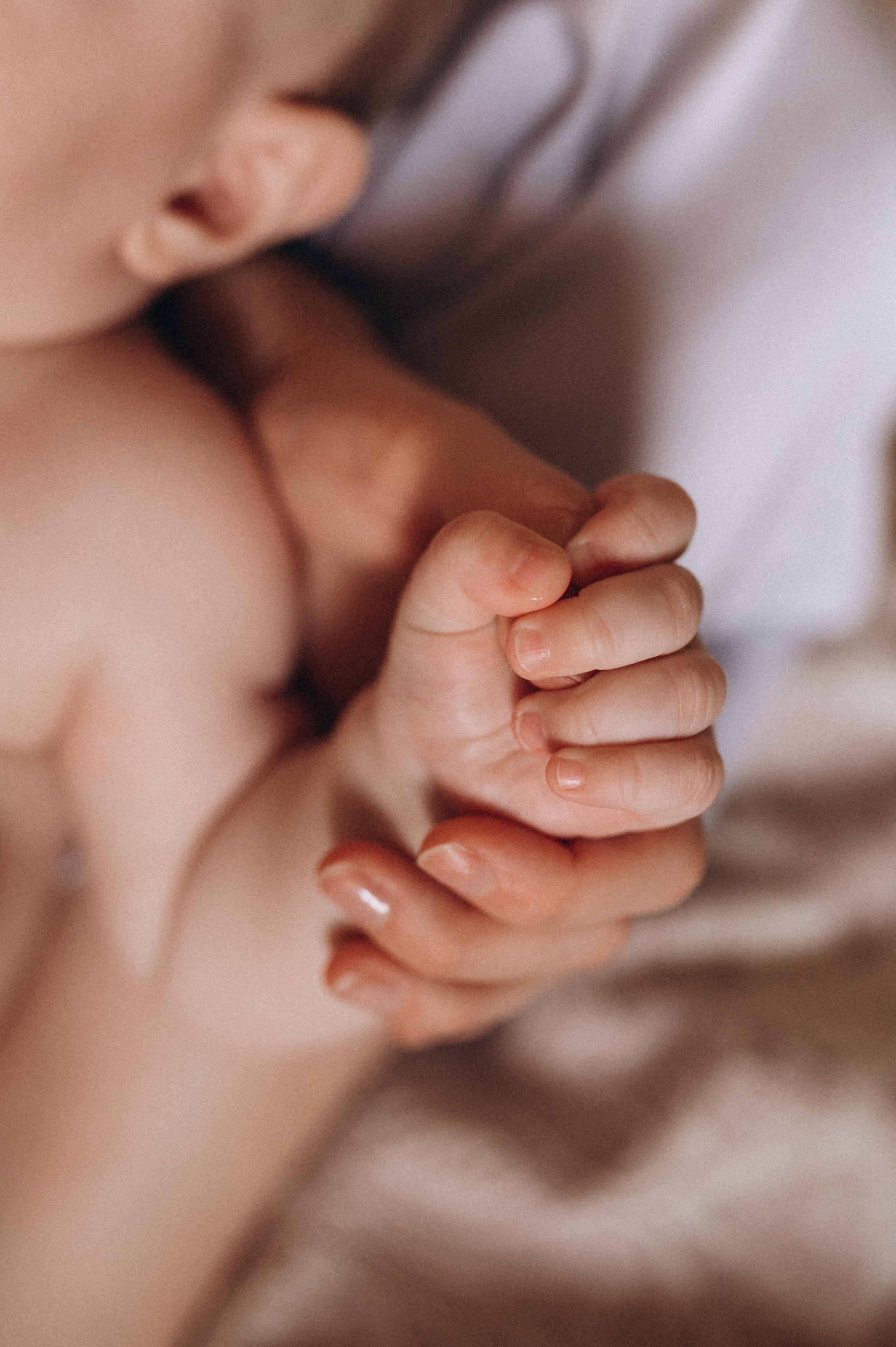 Мамино утро. Главная