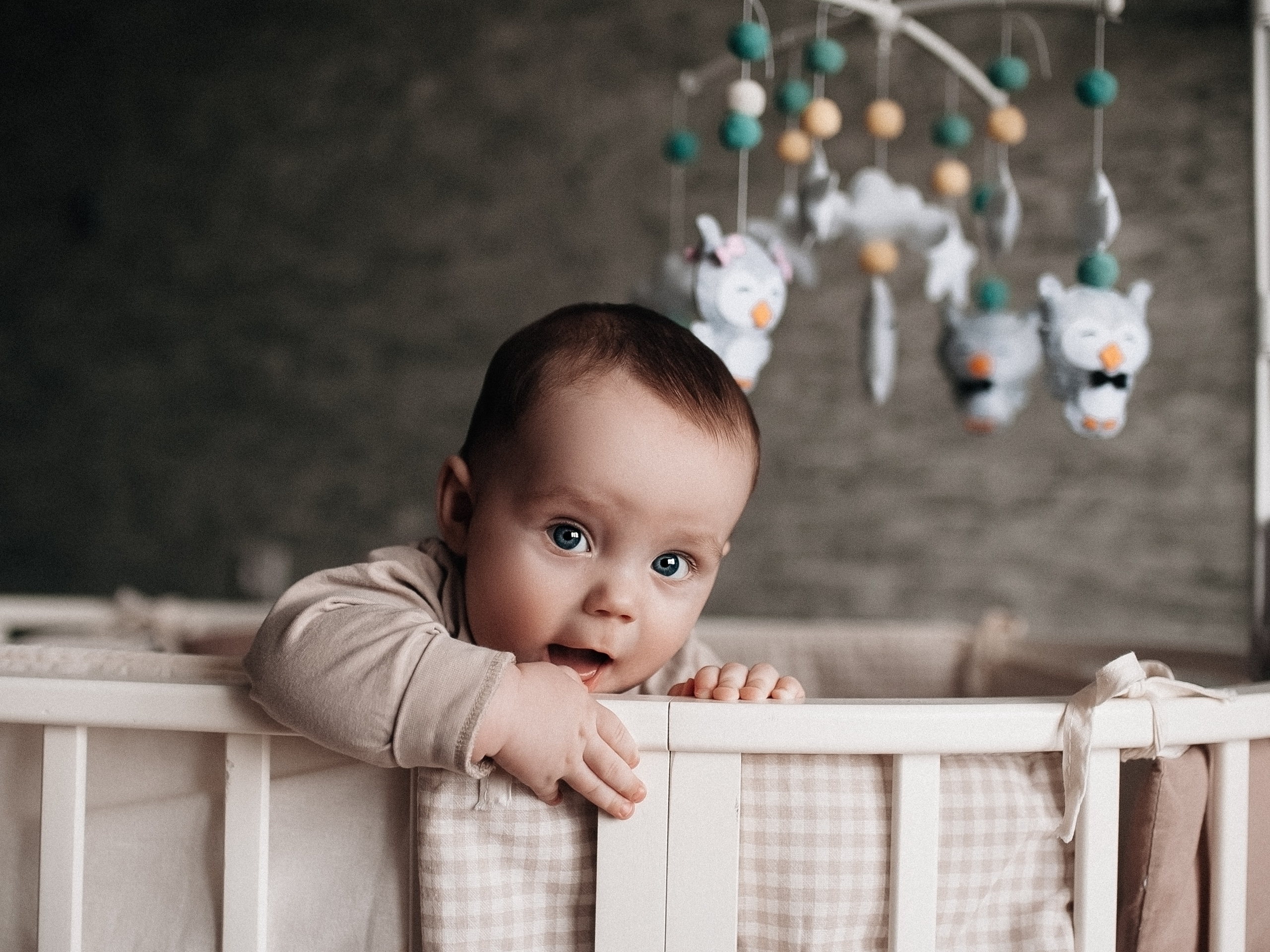 Игривое настроение. Главная