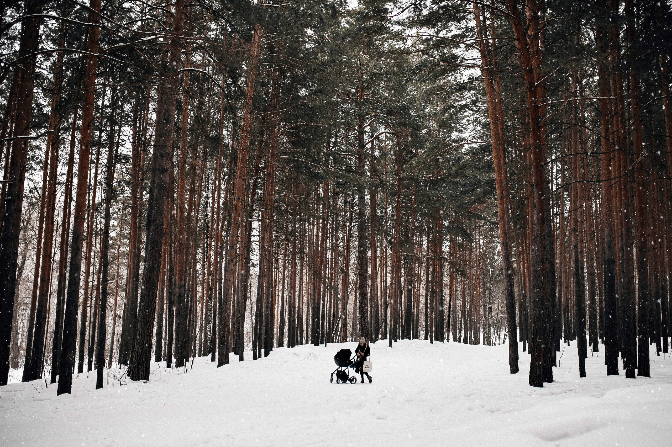 Игривое настроение. Главная