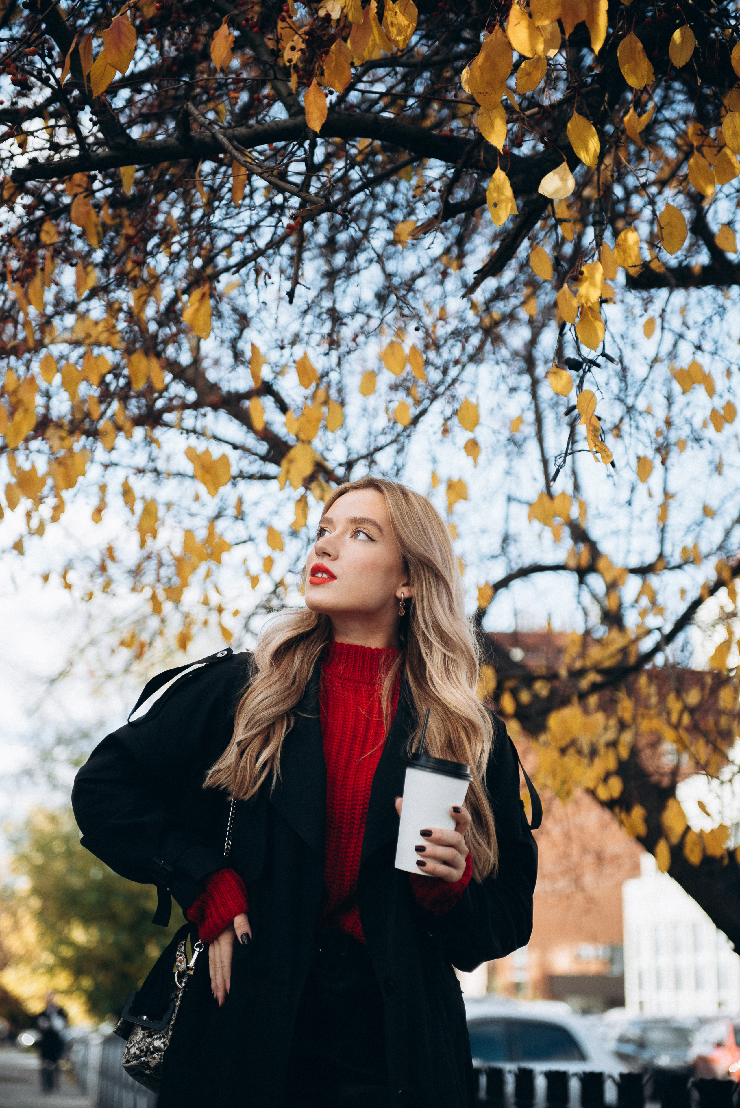 Алина. Осенний стрит. Главная