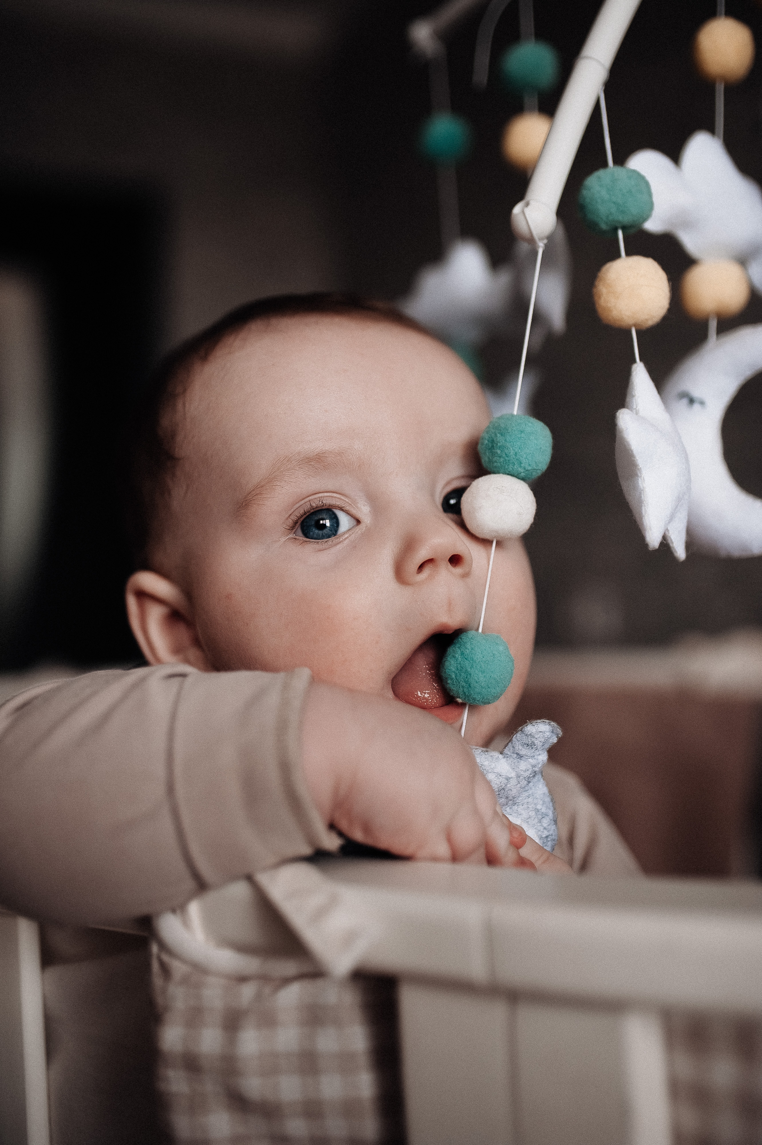 Игривое настроение. Главная