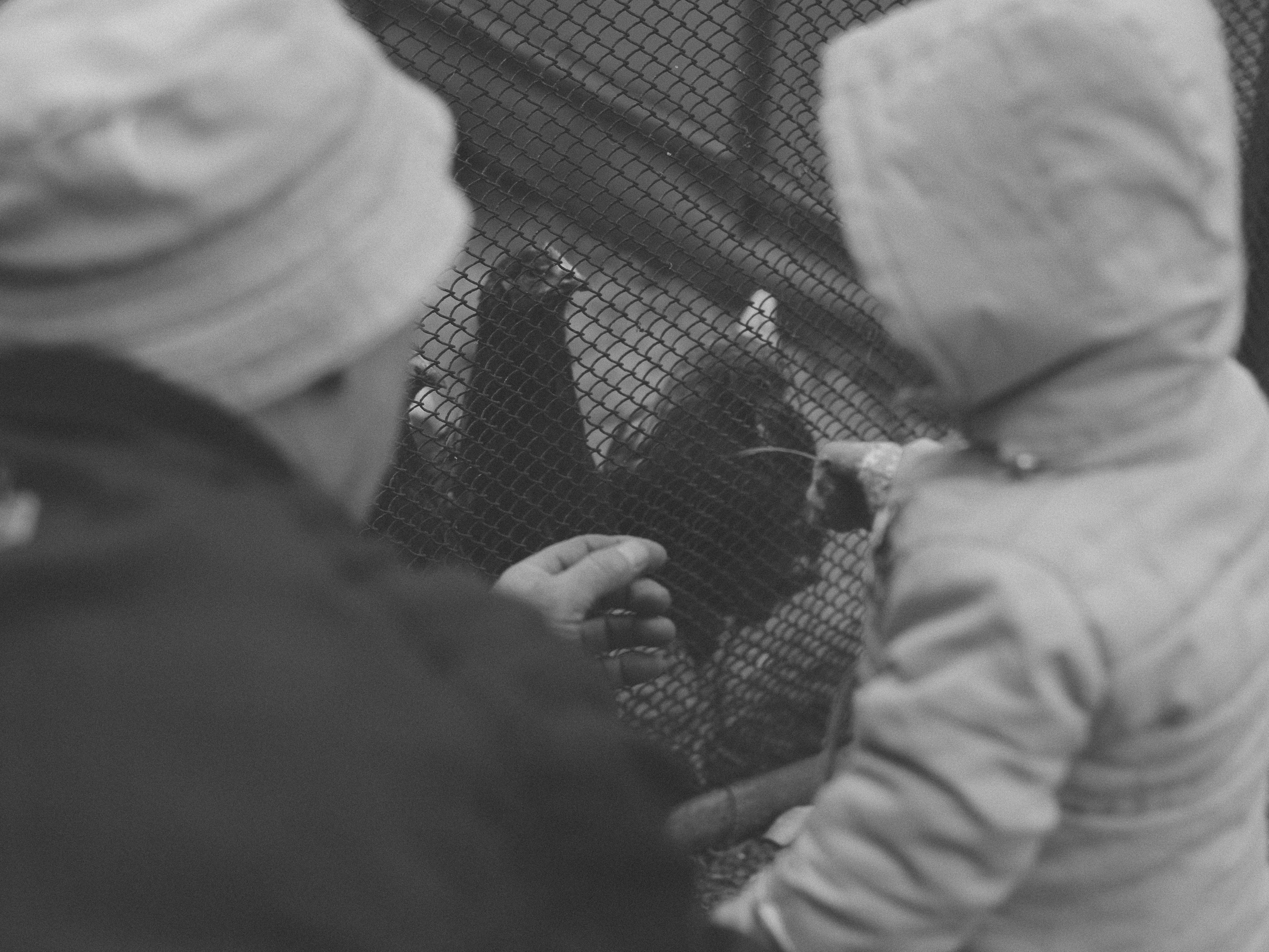 У дедушки. Главная