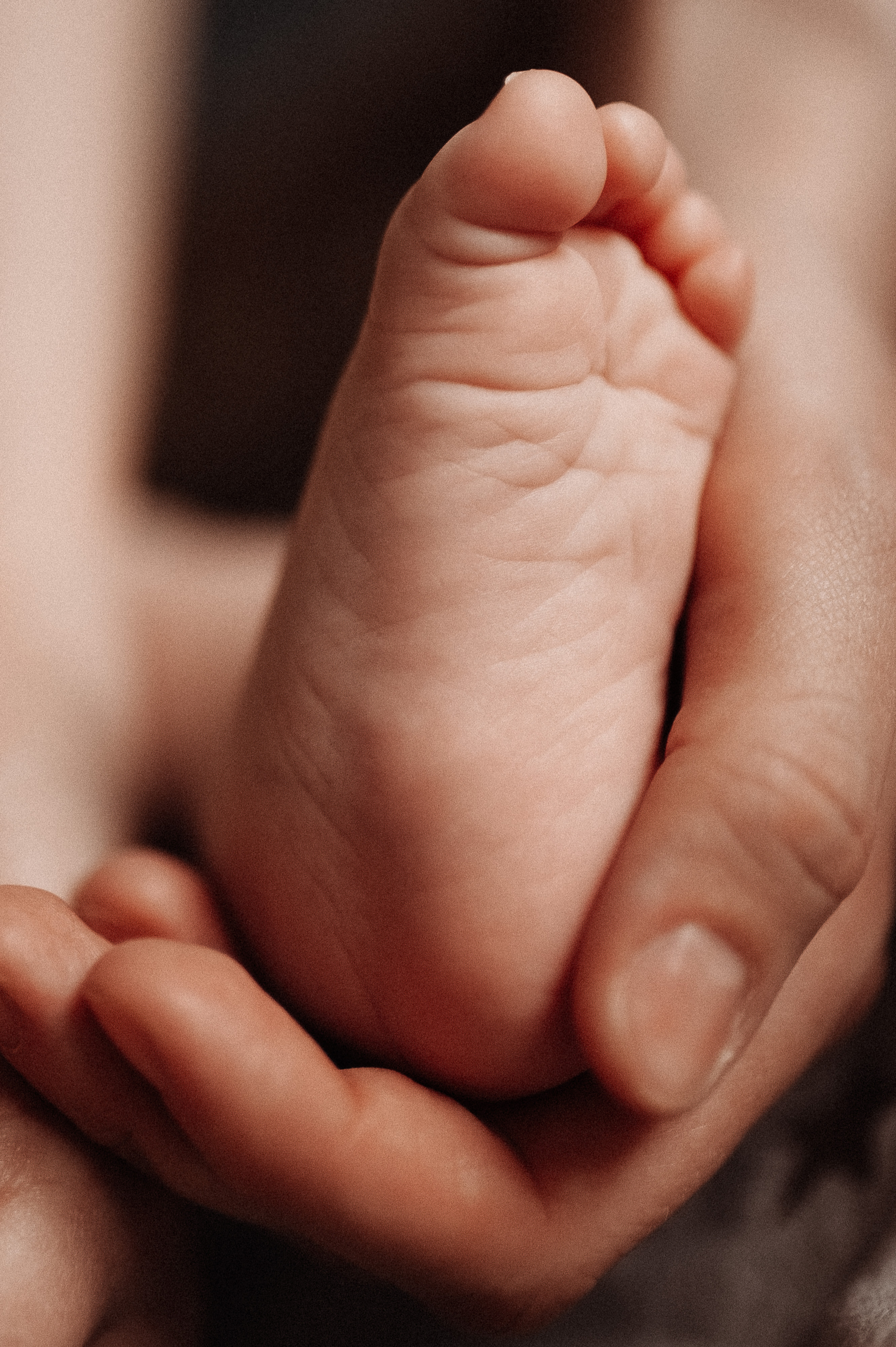 Добро пожаловать домой!. Главная