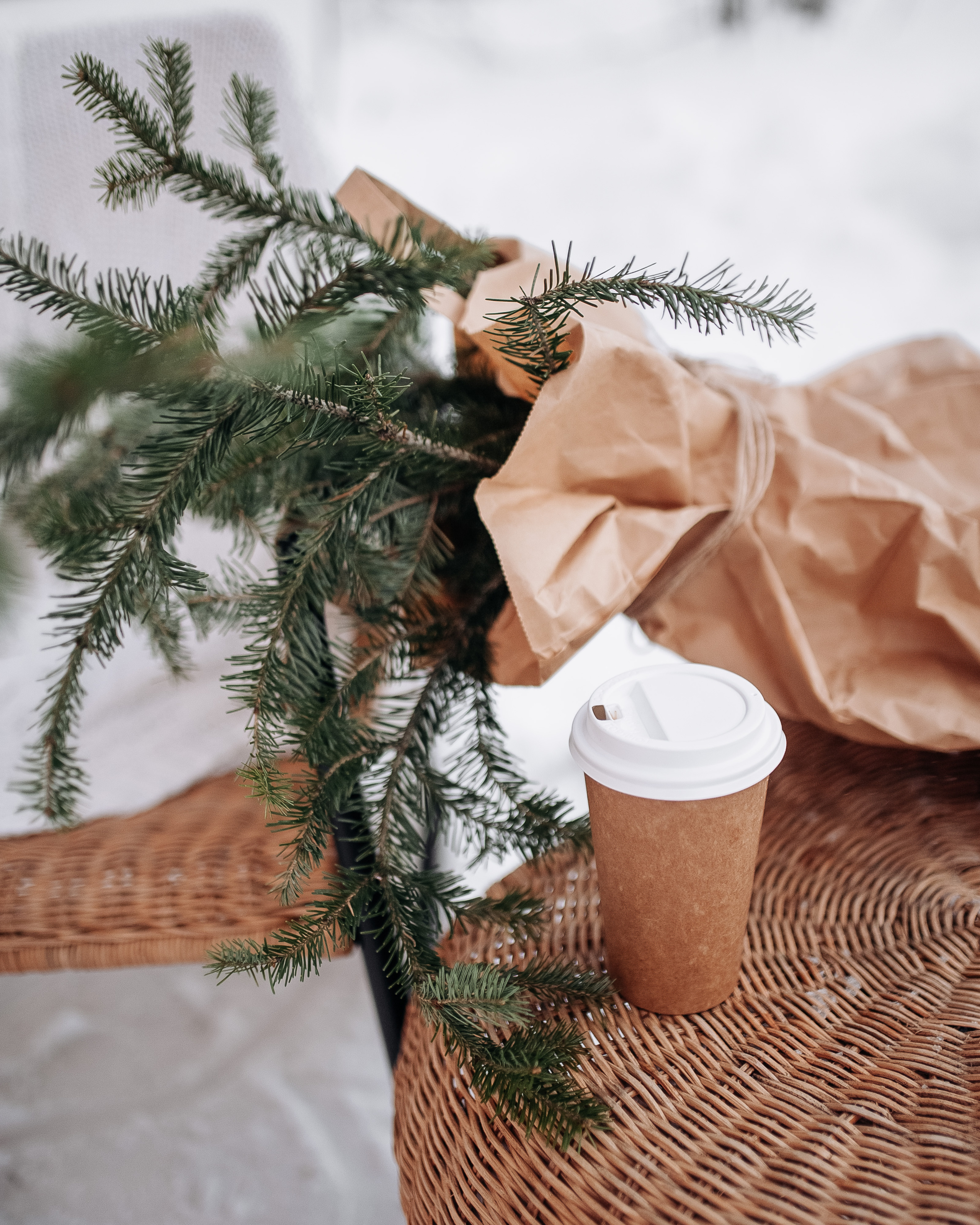 Матвей, Катя и Стелла. Кемпер. Главная