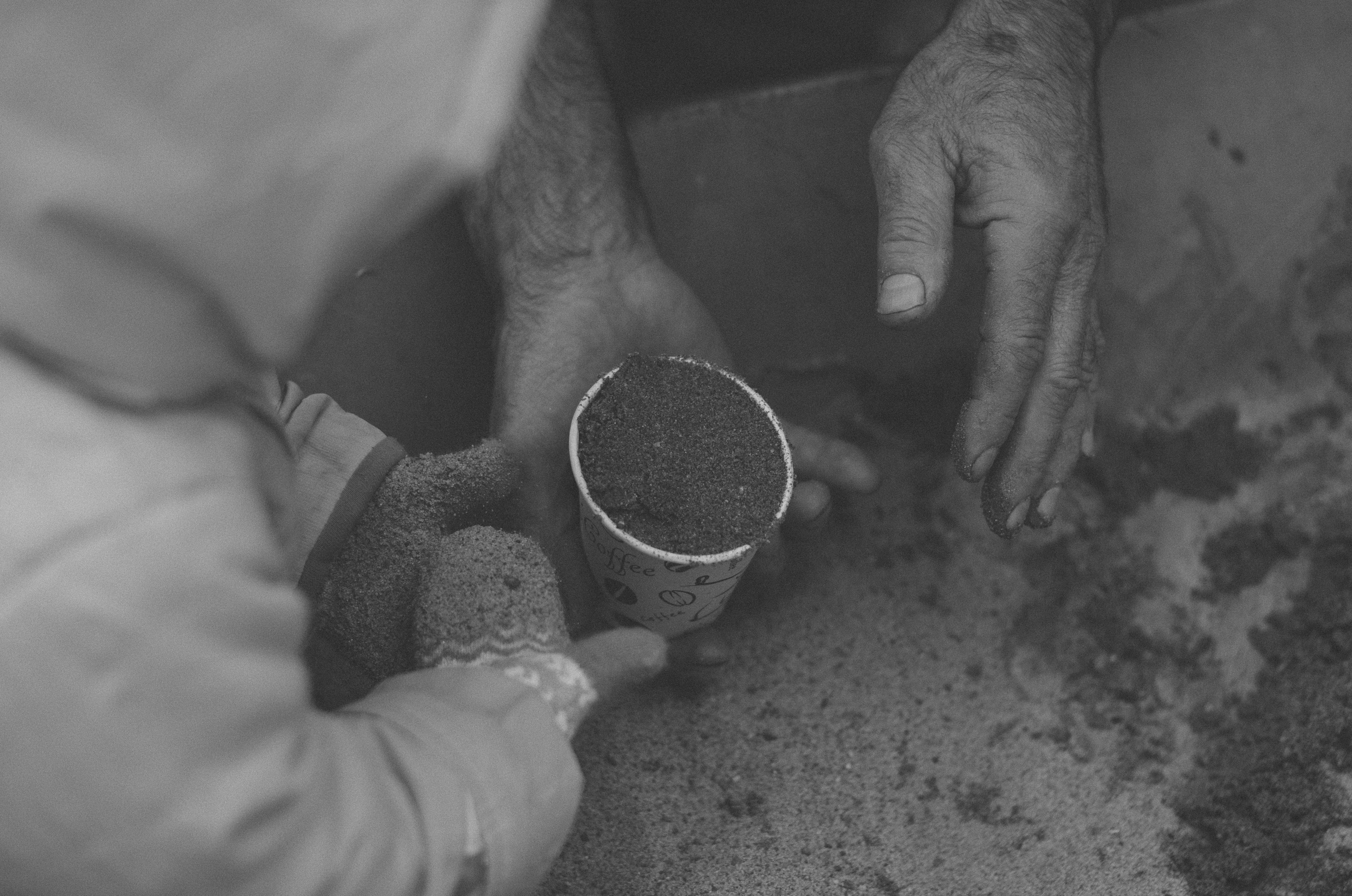 У дедушки. Главная