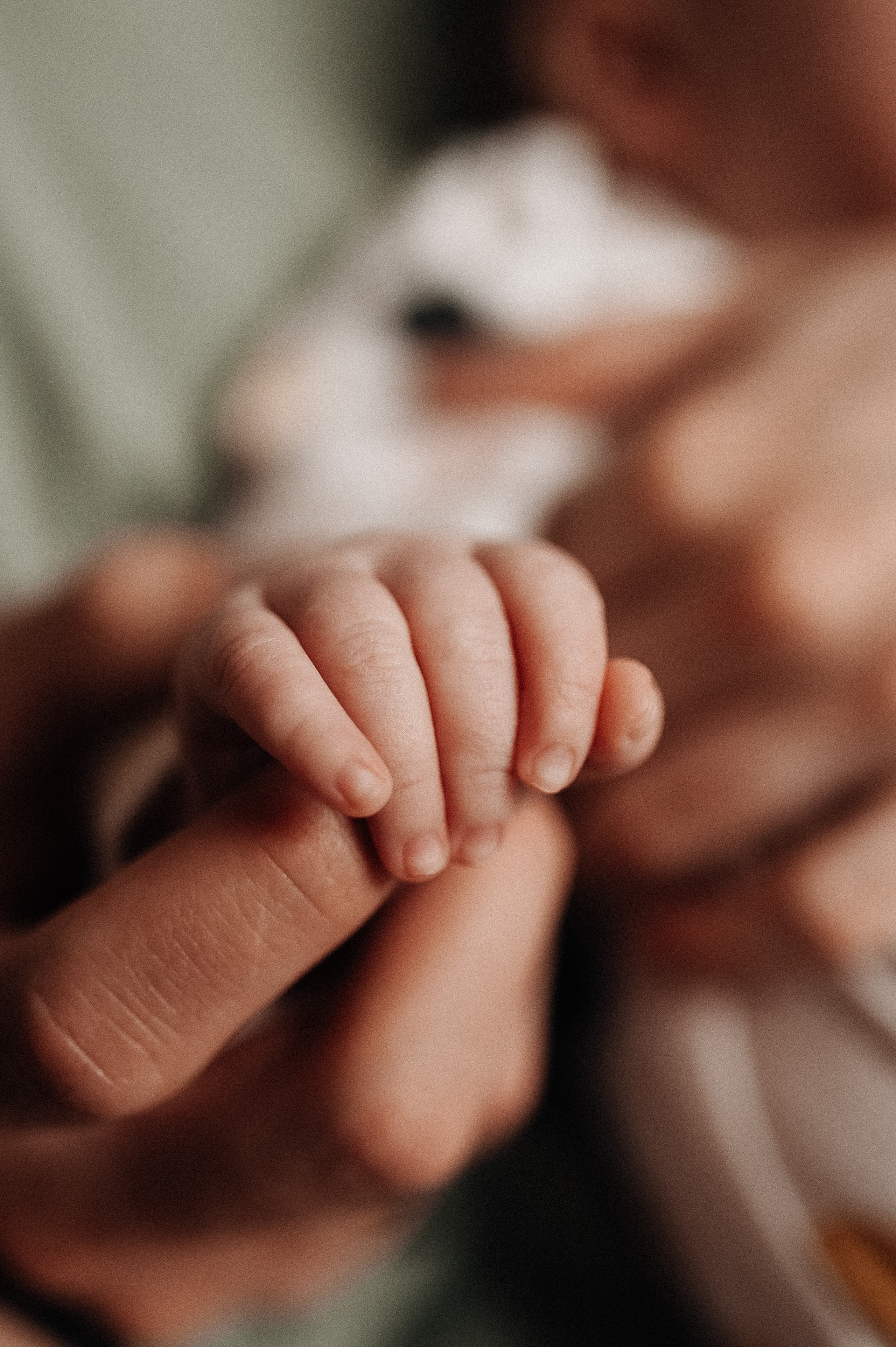 Добро пожаловать домой!. Главная