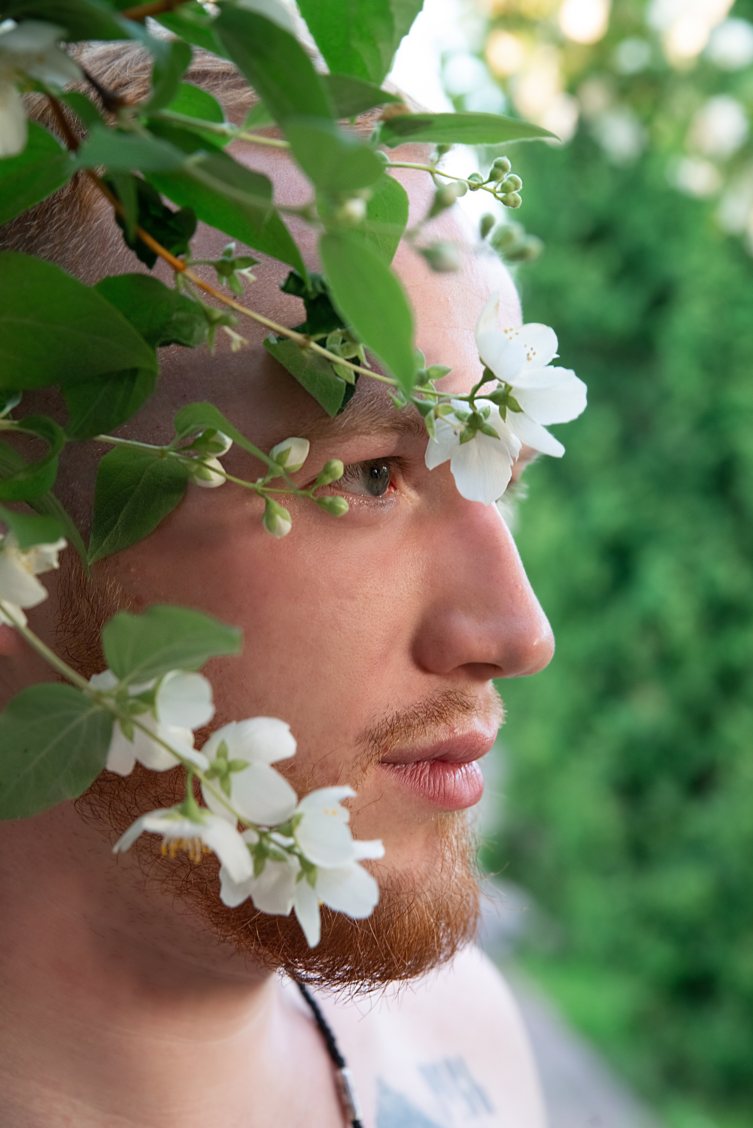 Мужской портрет. Дмитрий Шуйский, фотограф