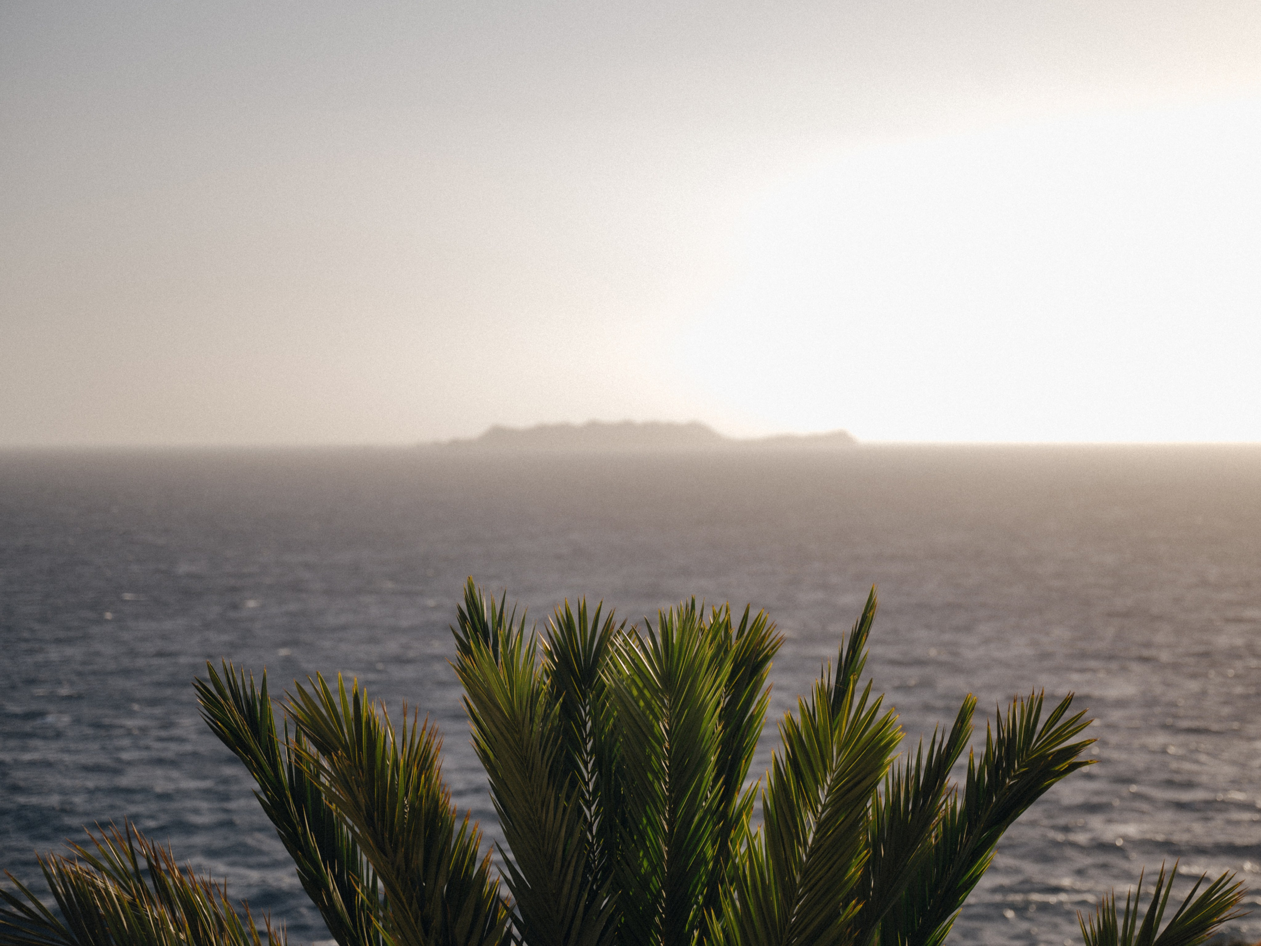 Полечу за тобою. Свадебный фотограф в Минске Тагай Наталья