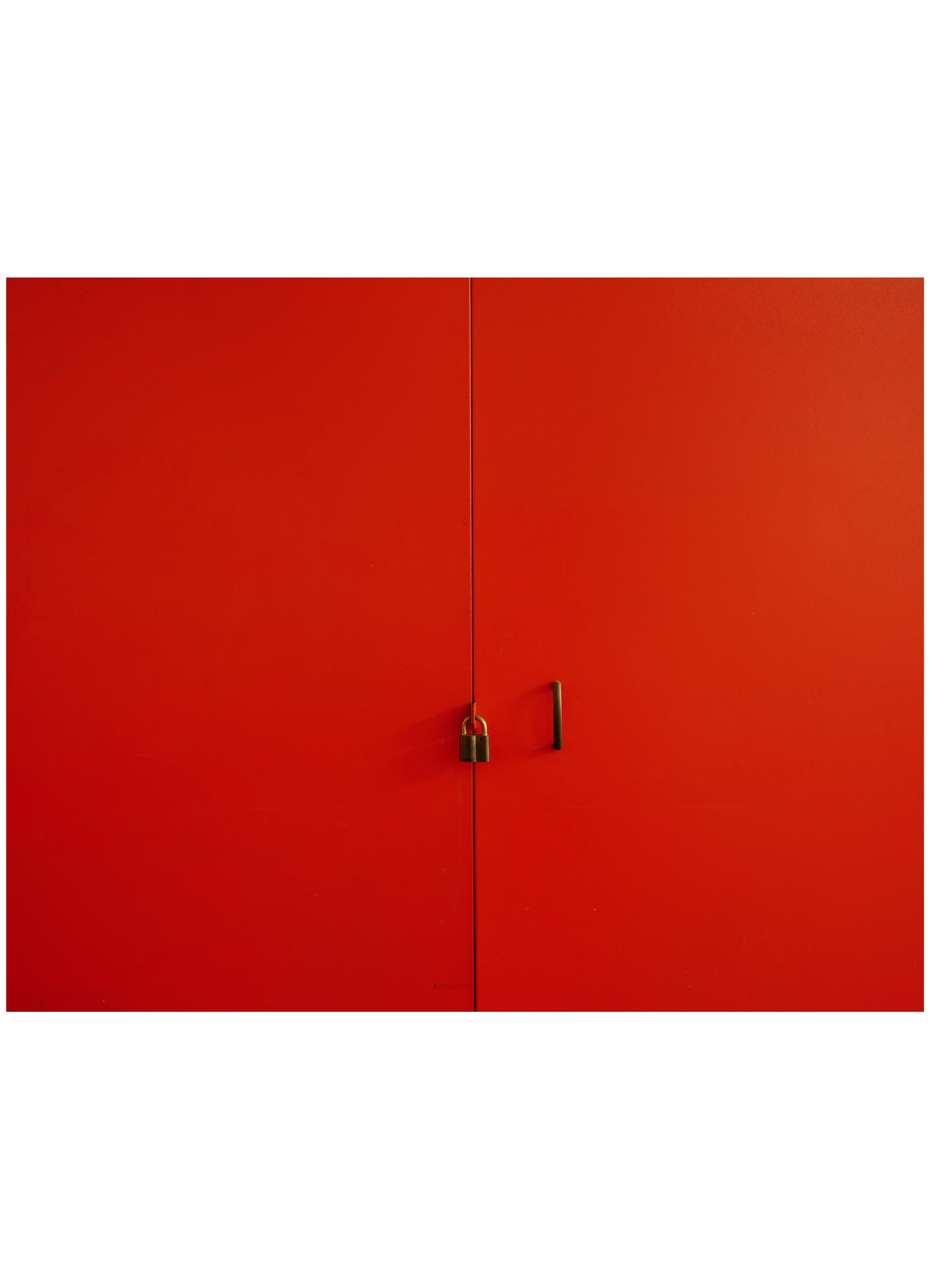 Reddoor. Sasha Dairgi