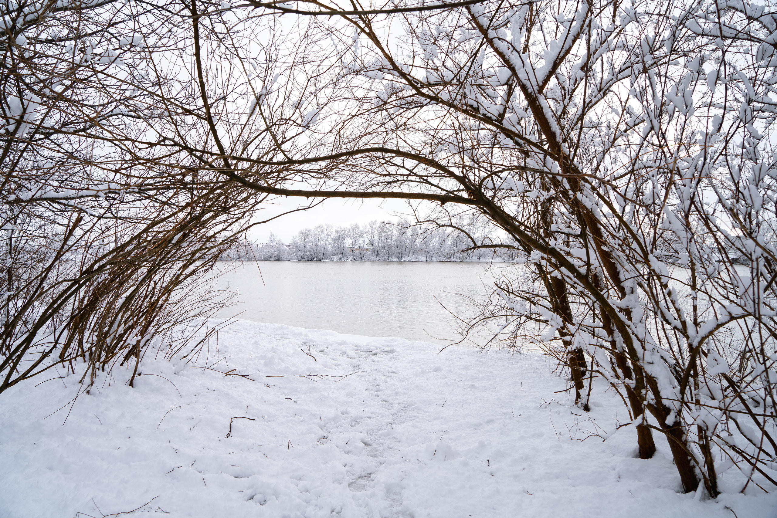 Зима 2024. Свадебный и семейный фотограф/видеограф в Краснодаре Наталья Осинская