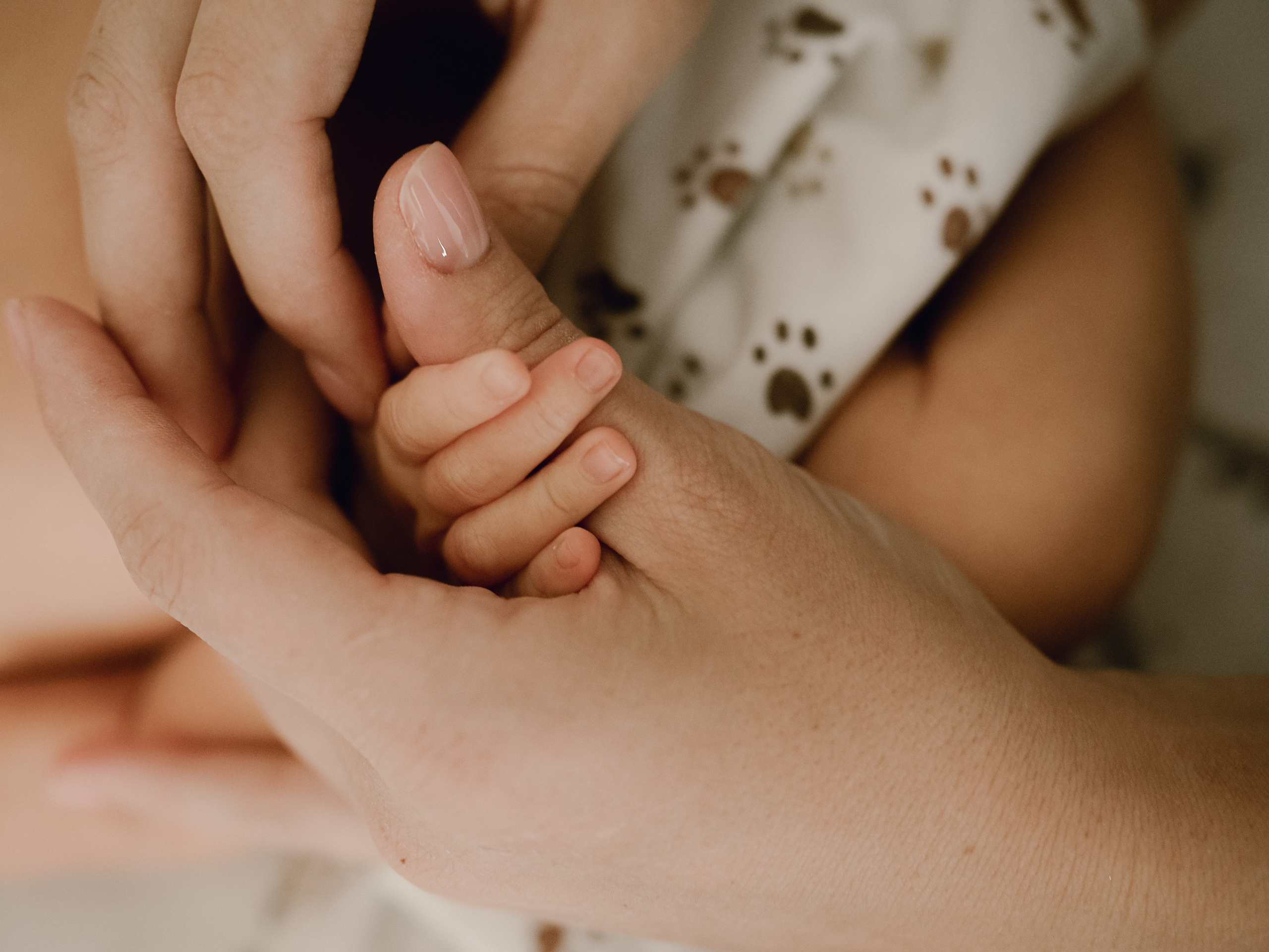 Нежность первой встречи. Фотограф Рязань. Семейный Свадебный фотограф