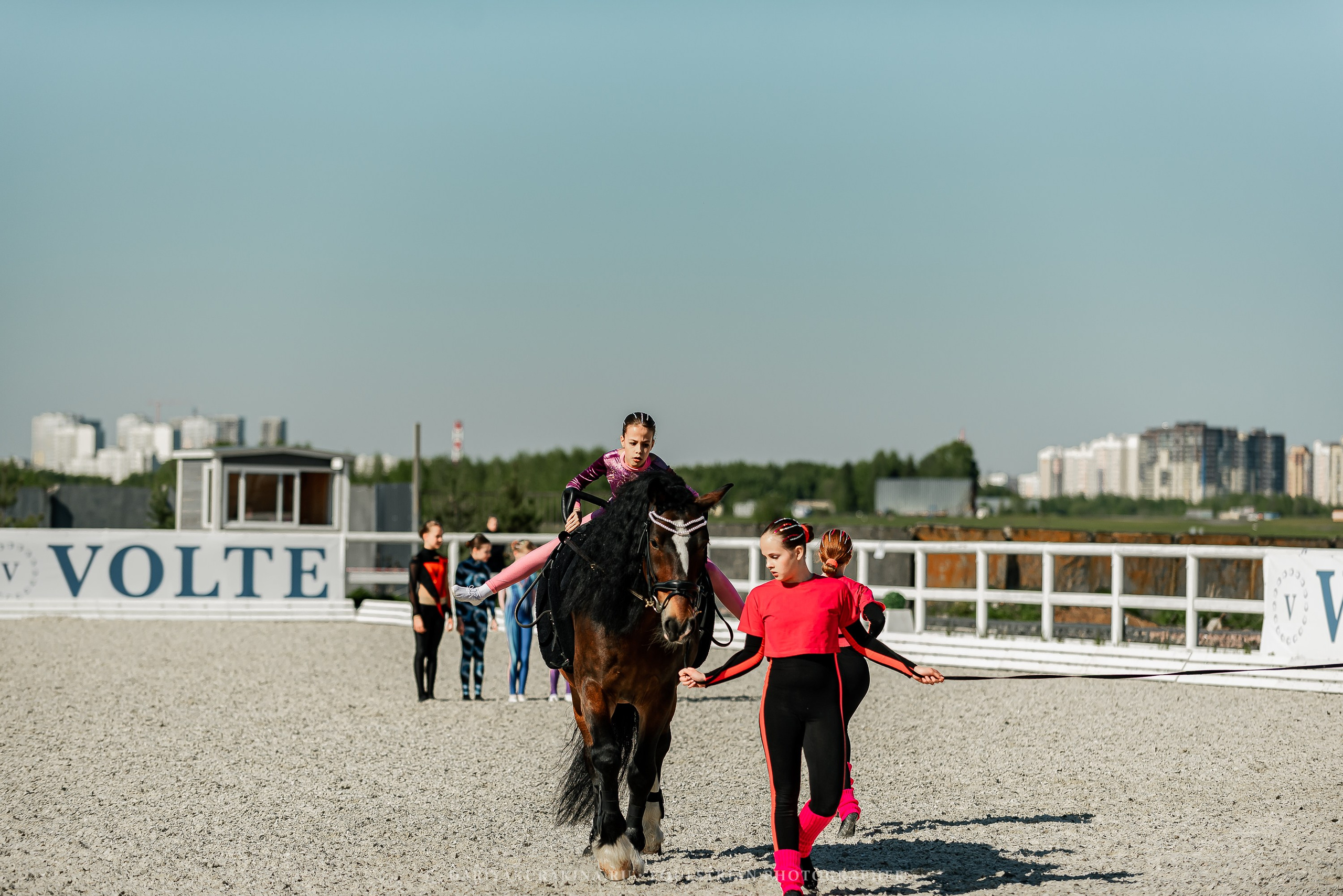 РЕПОРТАЖ МКК ВОЛЬТ «LA TULIPS». Конный фотограф Куракина Дарья • Фотосессии с лошадьми