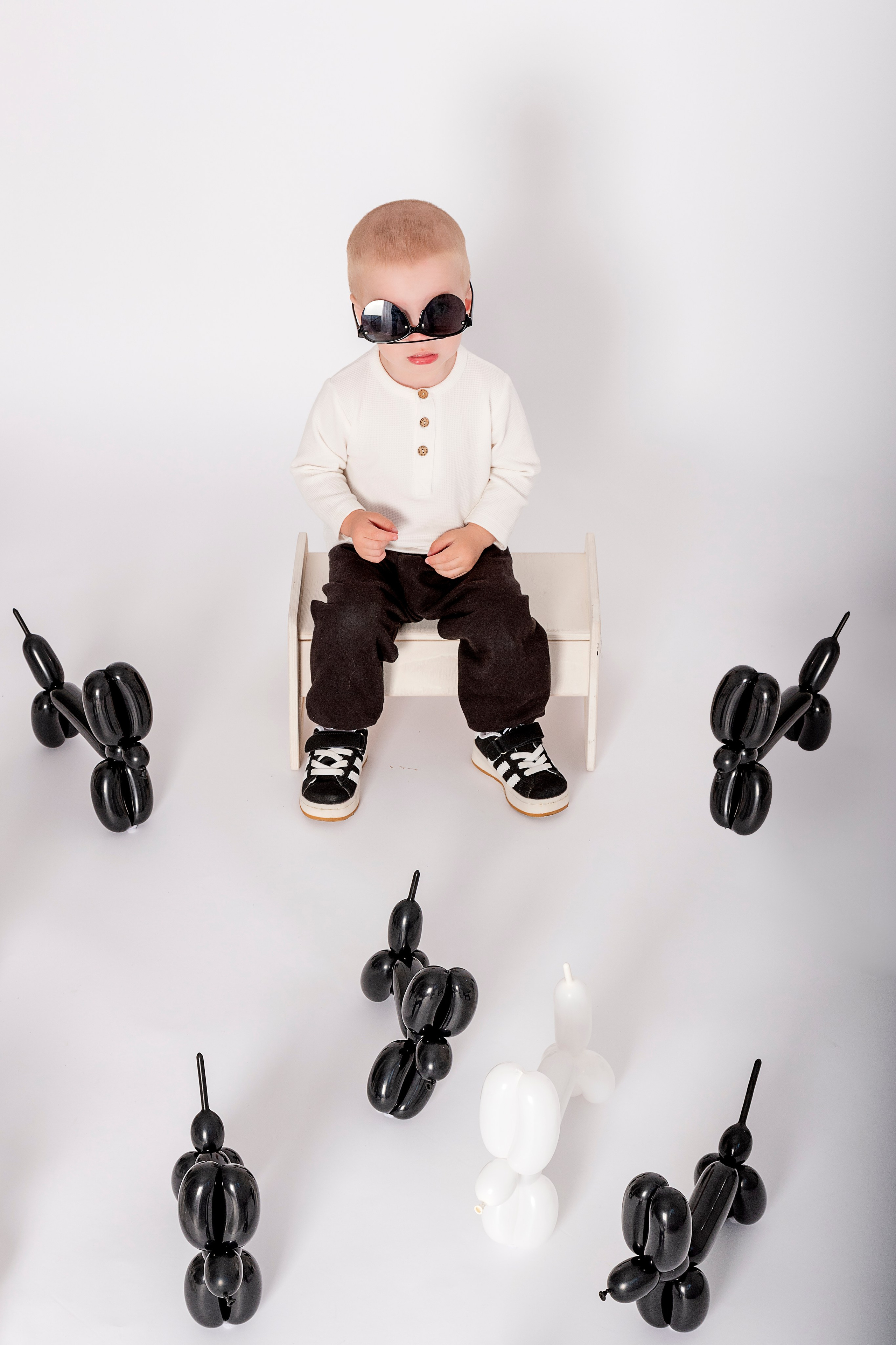 Фотосессия с собачками для Семы