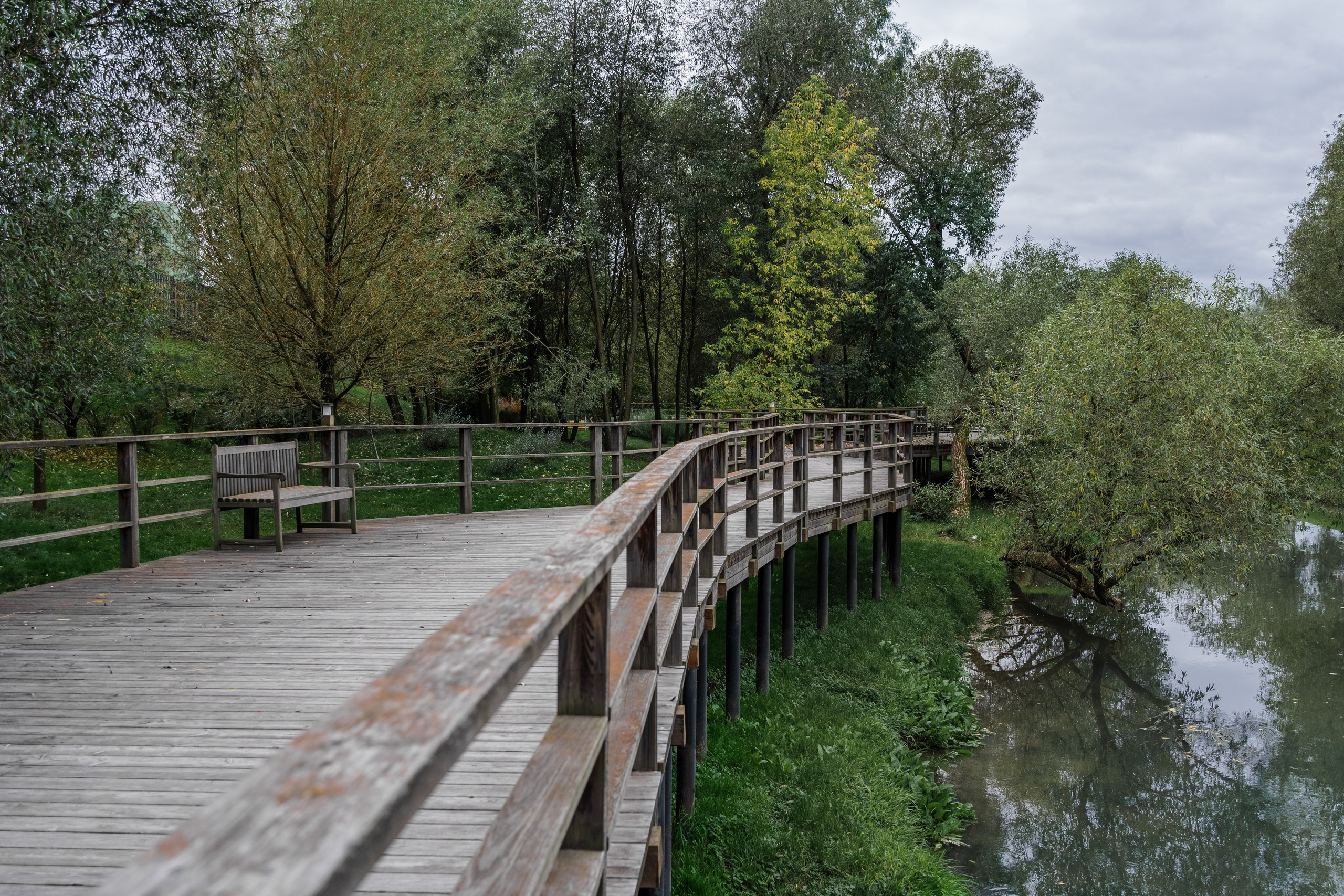 Skolkovo Park. Артамонов Александр | Архитектурный и ландшафтный фотограф