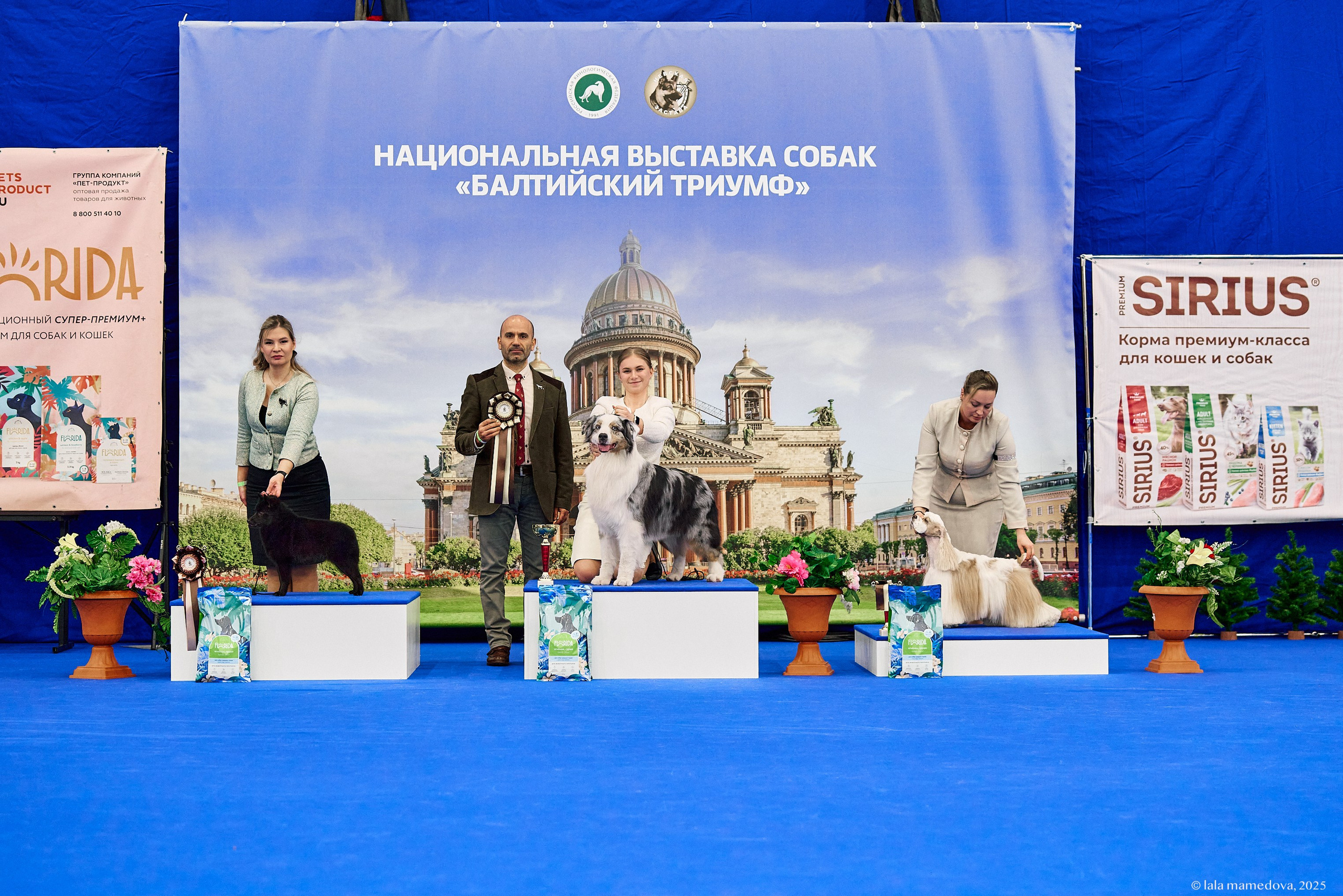 22-23 FEB 2025 | NATIONAL DOG SHOW «BALTIC TRIUMPH-2025»