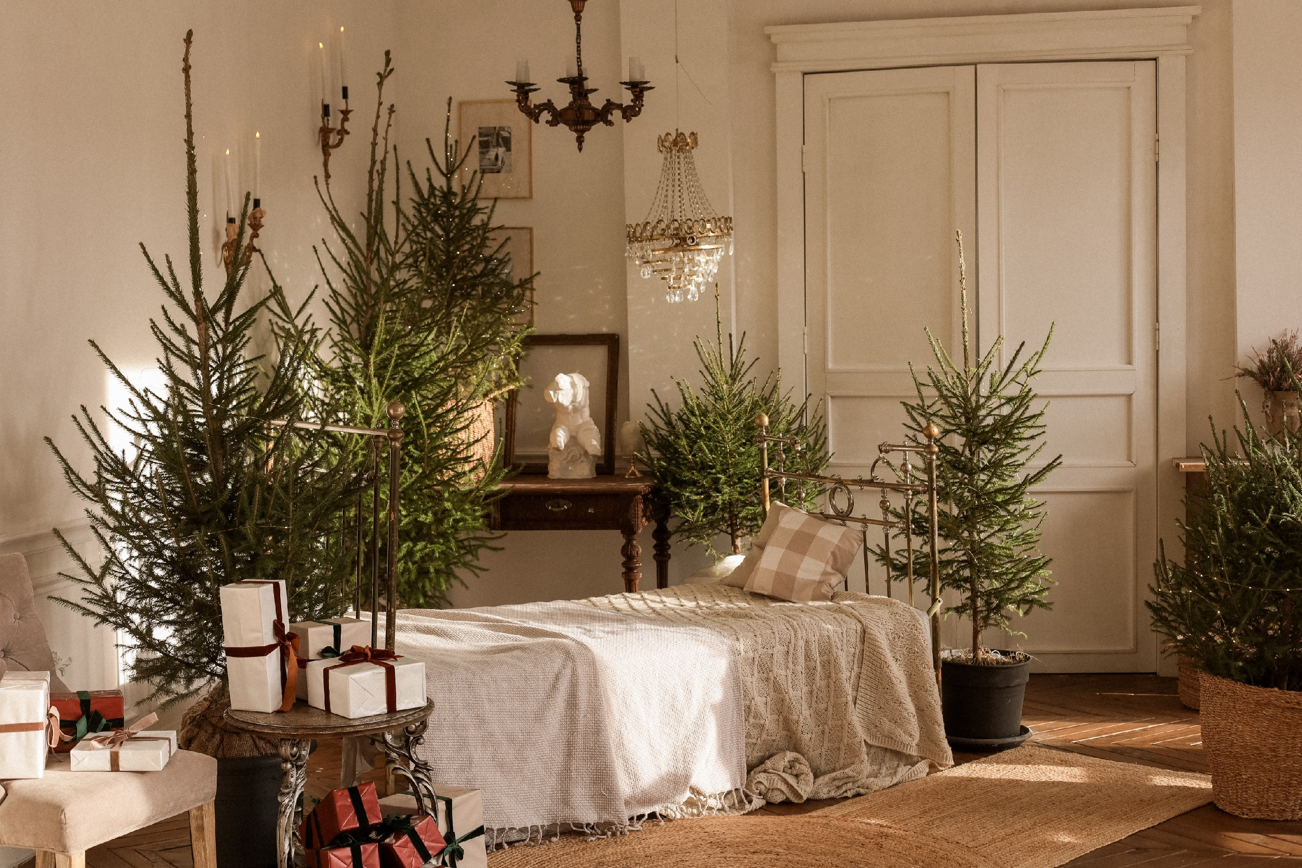 Фотостудии «Новый год 2026 год». Женский, семейный и детский фотограф в Тюмени Диана Осипова