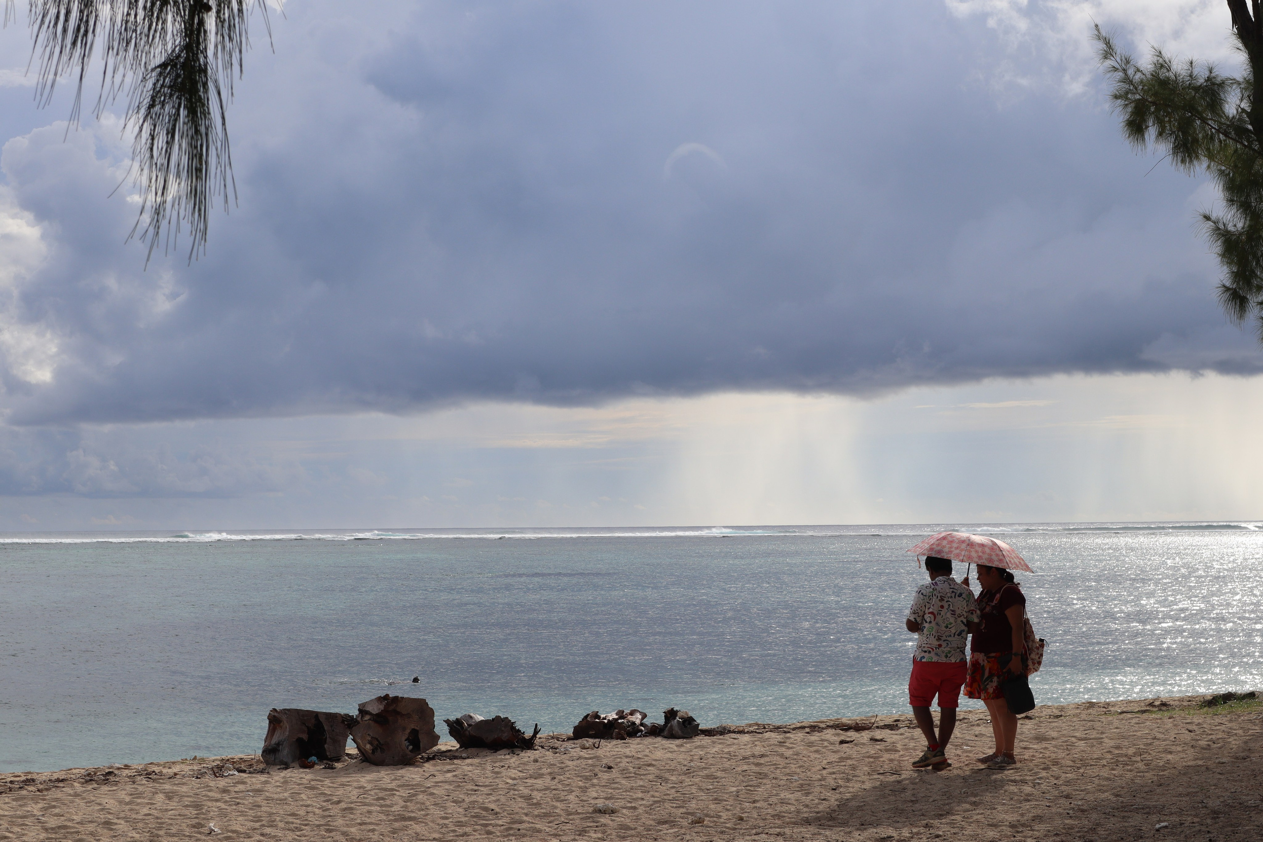 Путешествие на родину птицы додо. Travel photographer Ksenia