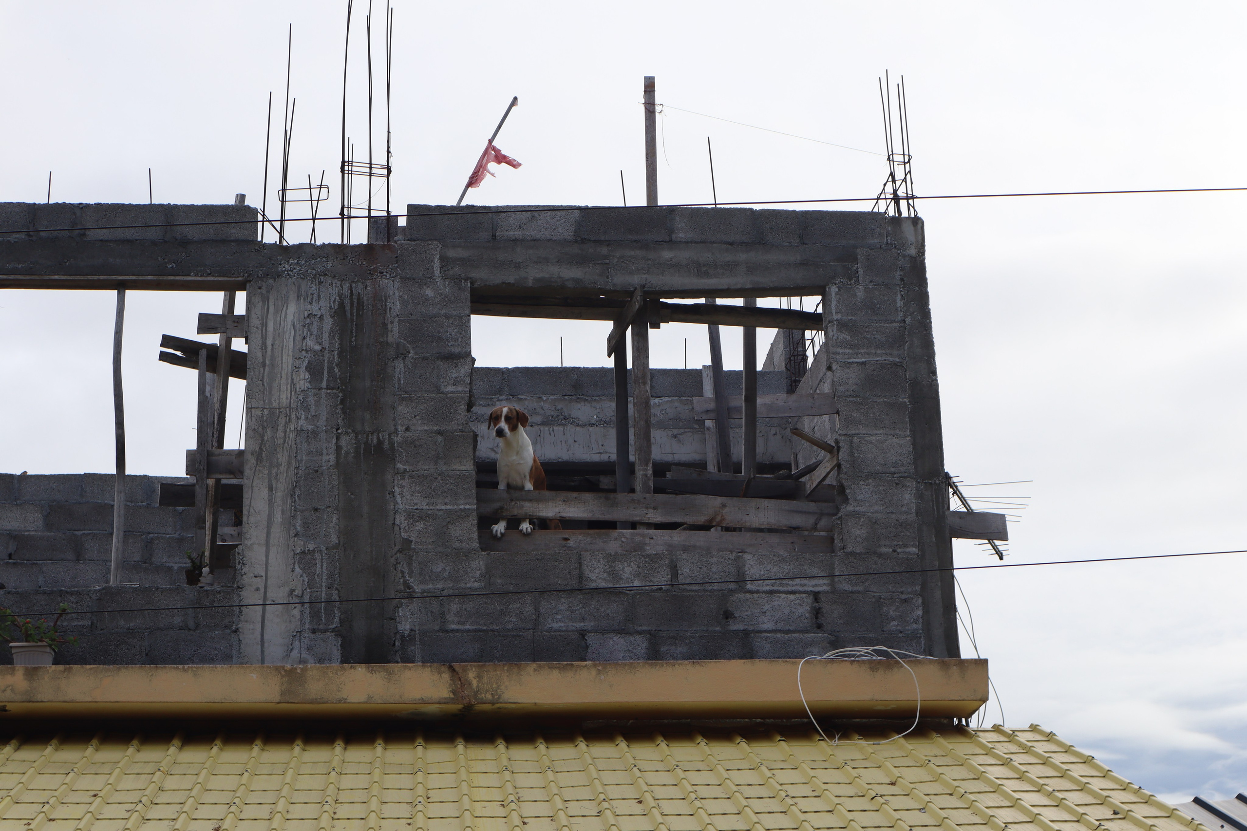 Путешествие на родину птицы додо. Travel photographer Ksenia