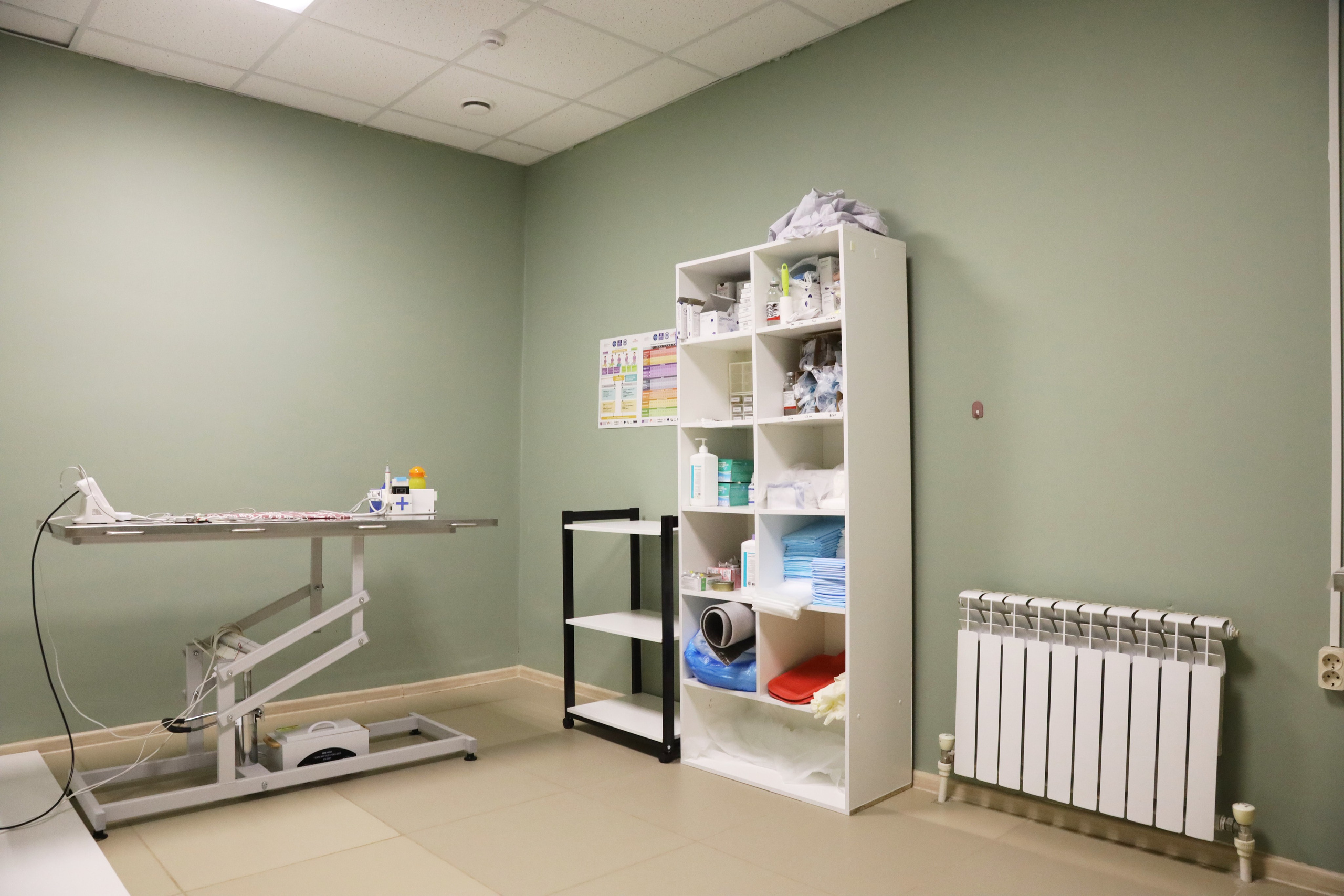 Ветеринарная клиника «Мокрый нос». Фотограф Сергей Феденко