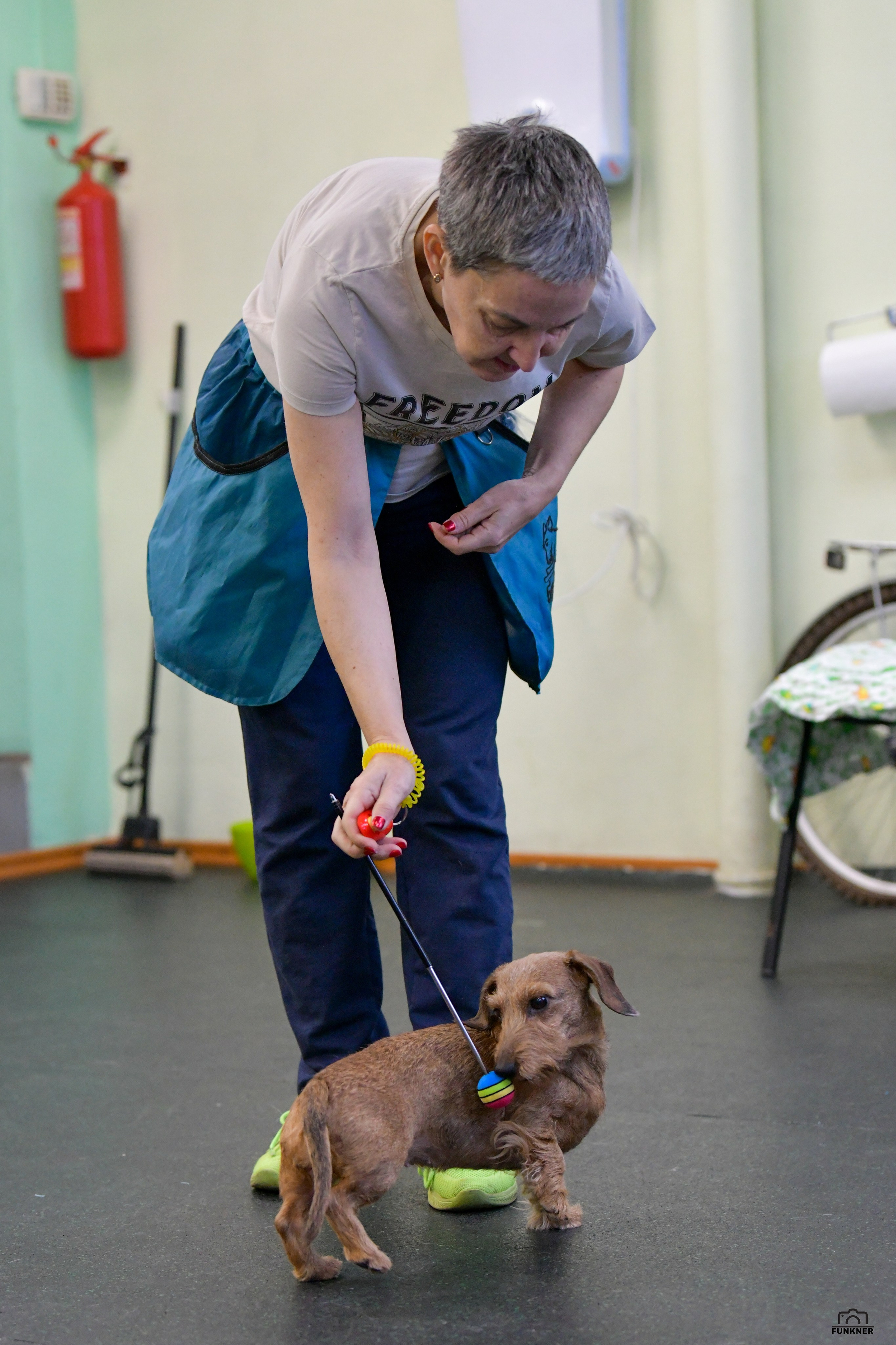 Кинологический клуб «Бодрый хвост». Свой взгляд через объектив
