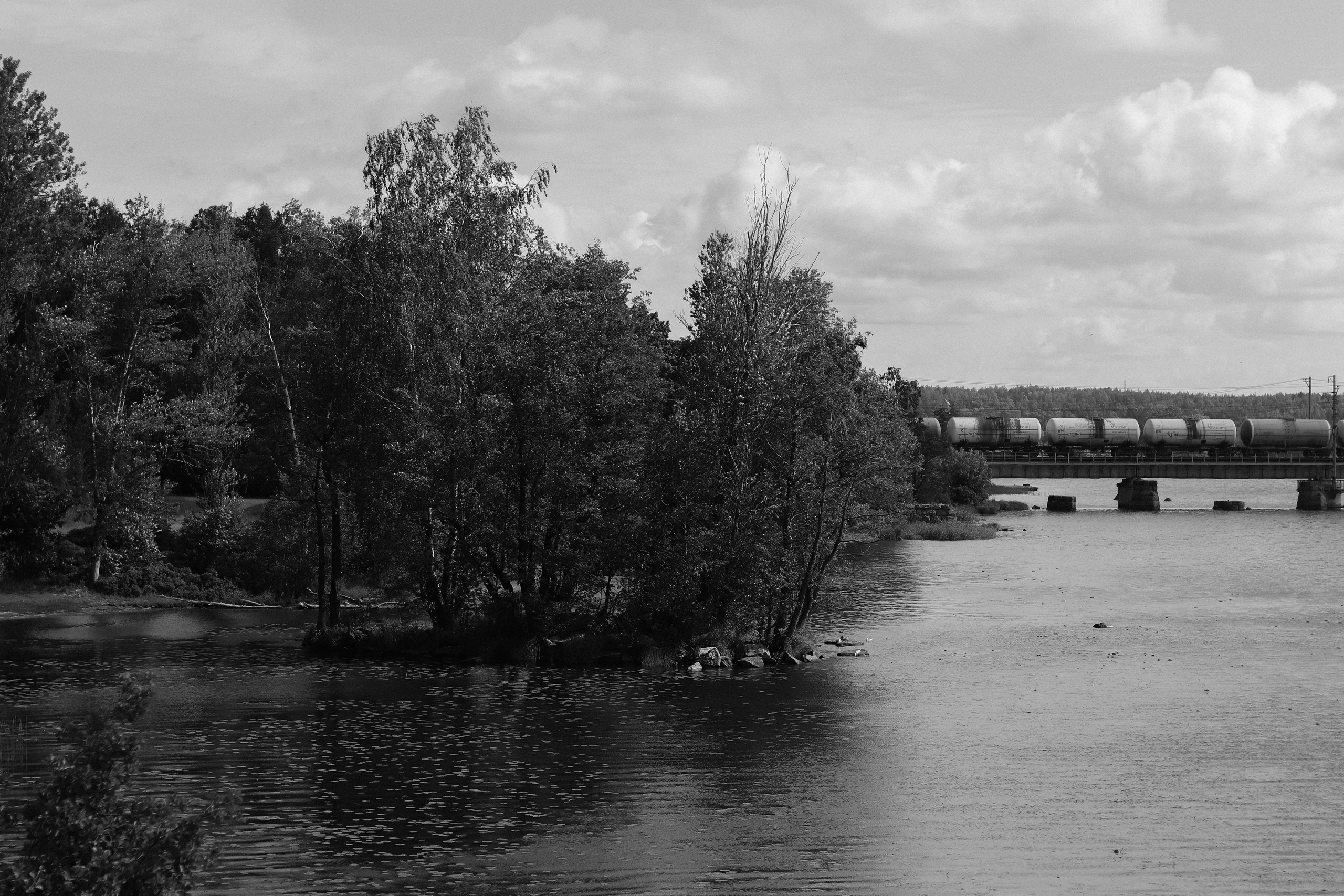 Contour. Фотограф и исследователь фотографии из Санкт-Петербурга Елизавета Веприцкая