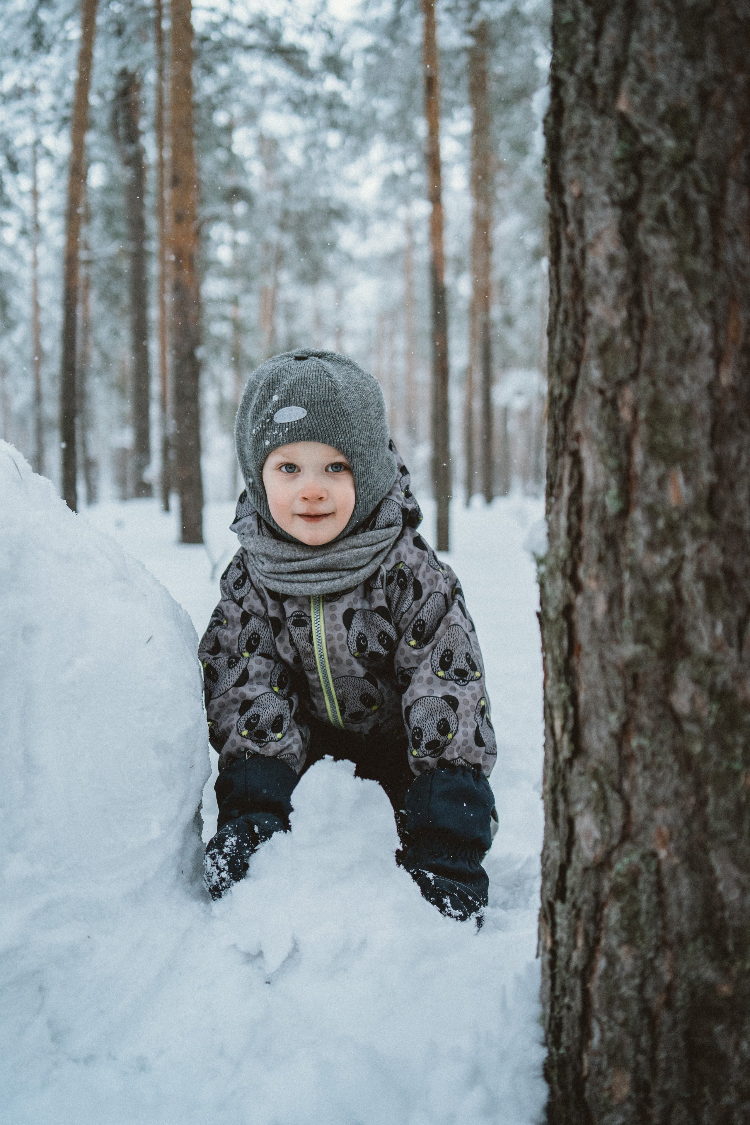 Зимняя прогулка