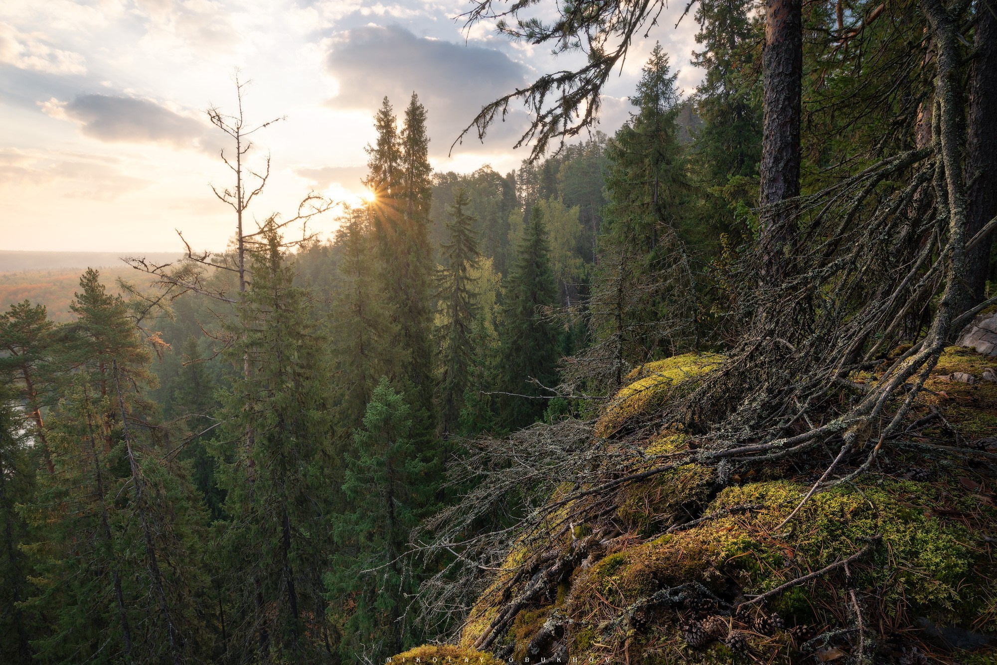 Восход солнца над осенним лесом