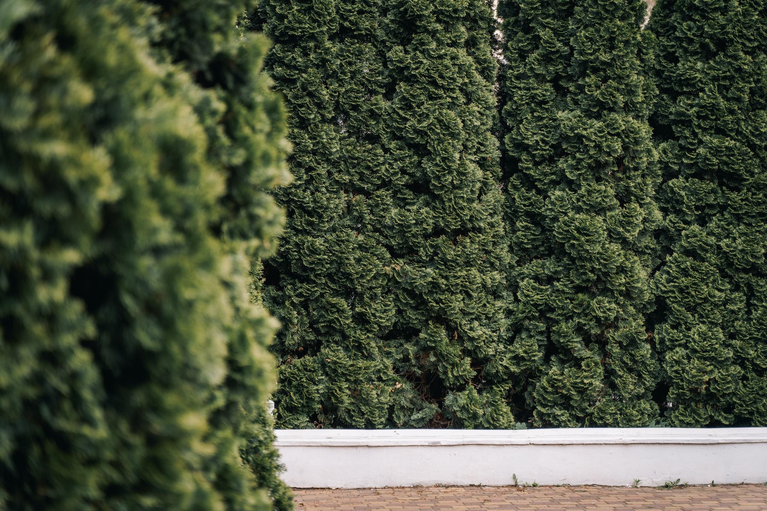 Места для съёмок. Фотограф Александр Решня