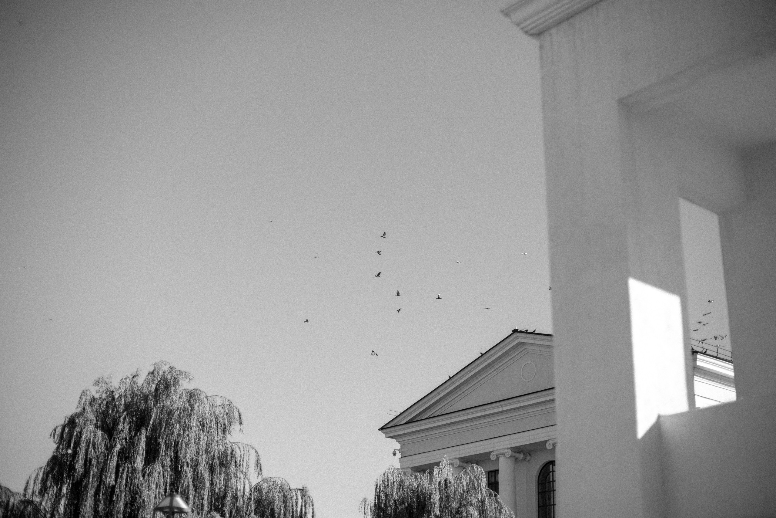 Николай и Татьяна. Свадебный и семейный фотограф в Краснодаре/Геленджике/Сочи/Санкт-Петербурге