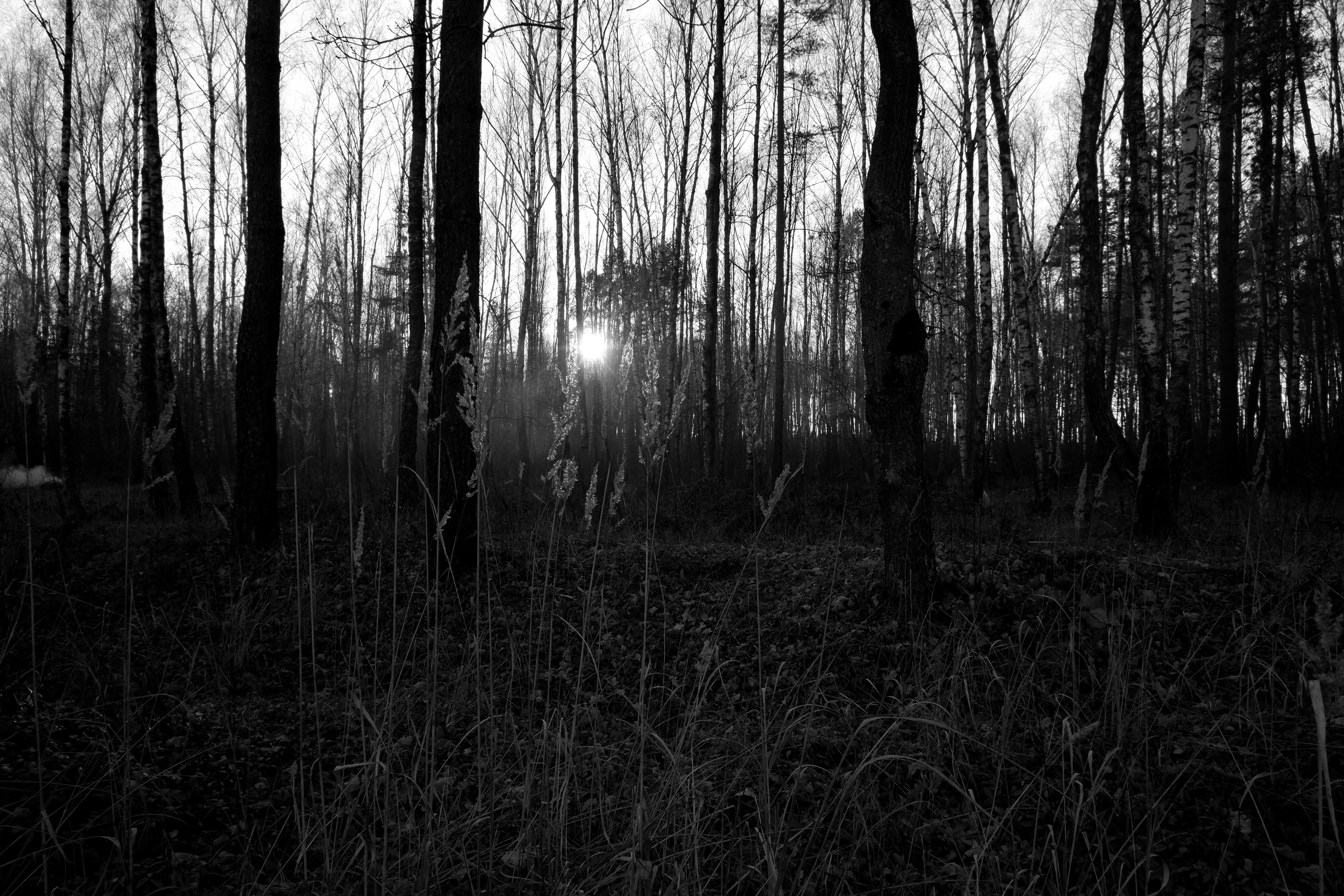 Александр. Фотограф (photographer) Lischinski Vitaliy