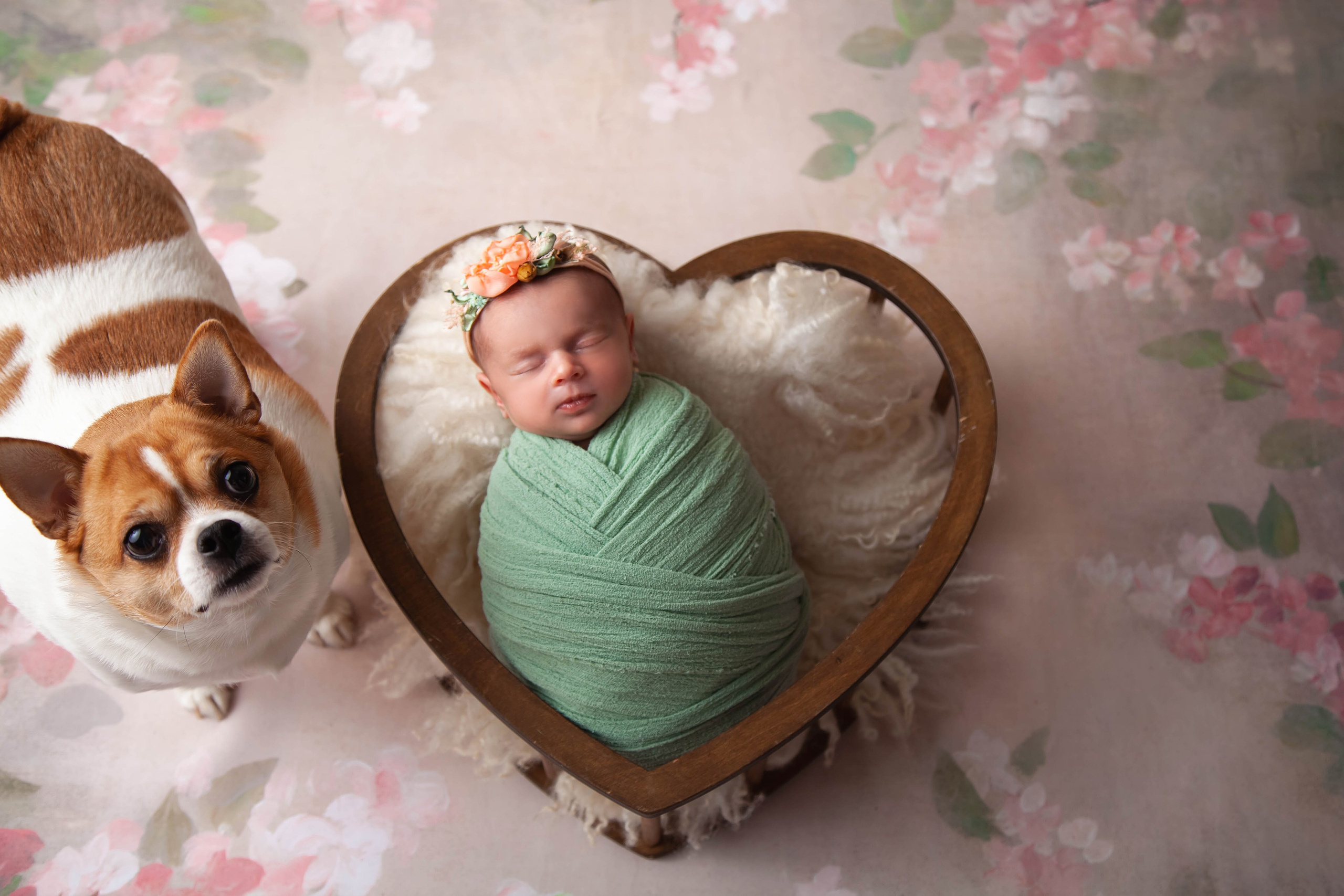 Новорождённые. Фотограф Newborn в Саратове Екатерина Завитова