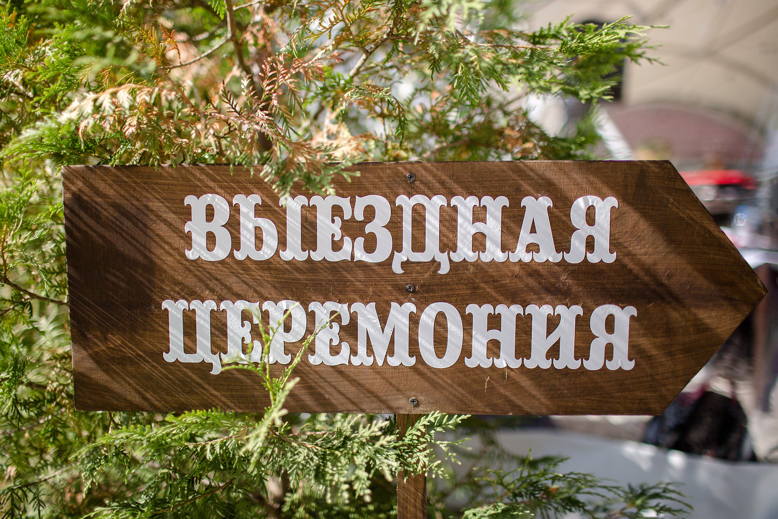 Богдан и Даша. Свадебный и портретный фотограф Юлия Васильева