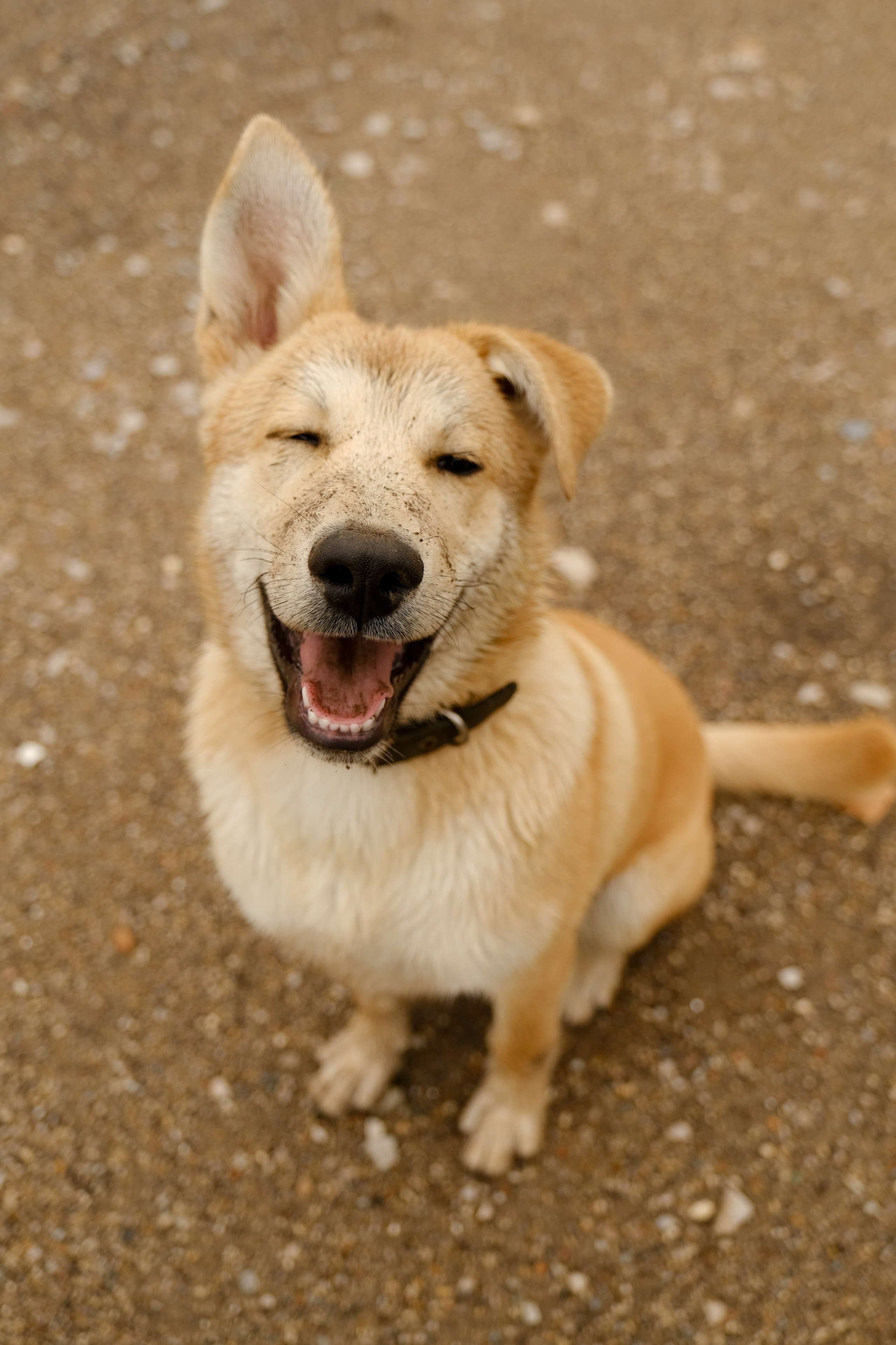 Rostelecom x Dedu Никола-Ленивец. Фотограф Москва, Екатерина Коломина-Процкая