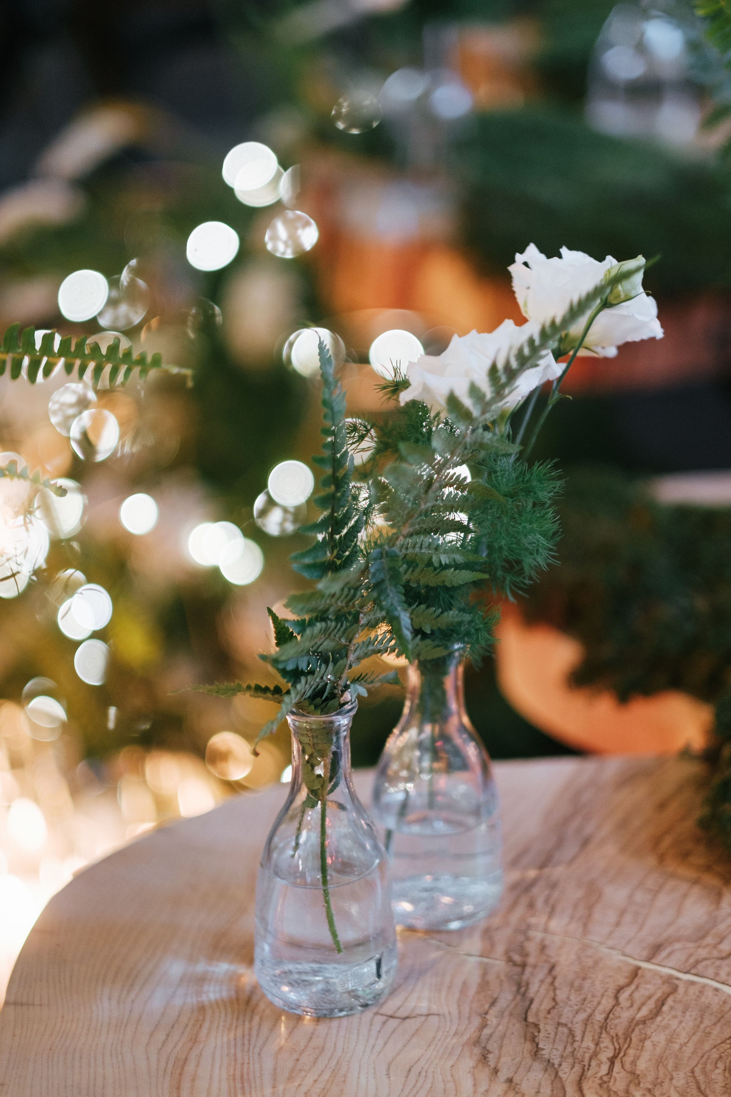 Кот и Дракон. Свадебный Видеограф Фотограф в Сочи