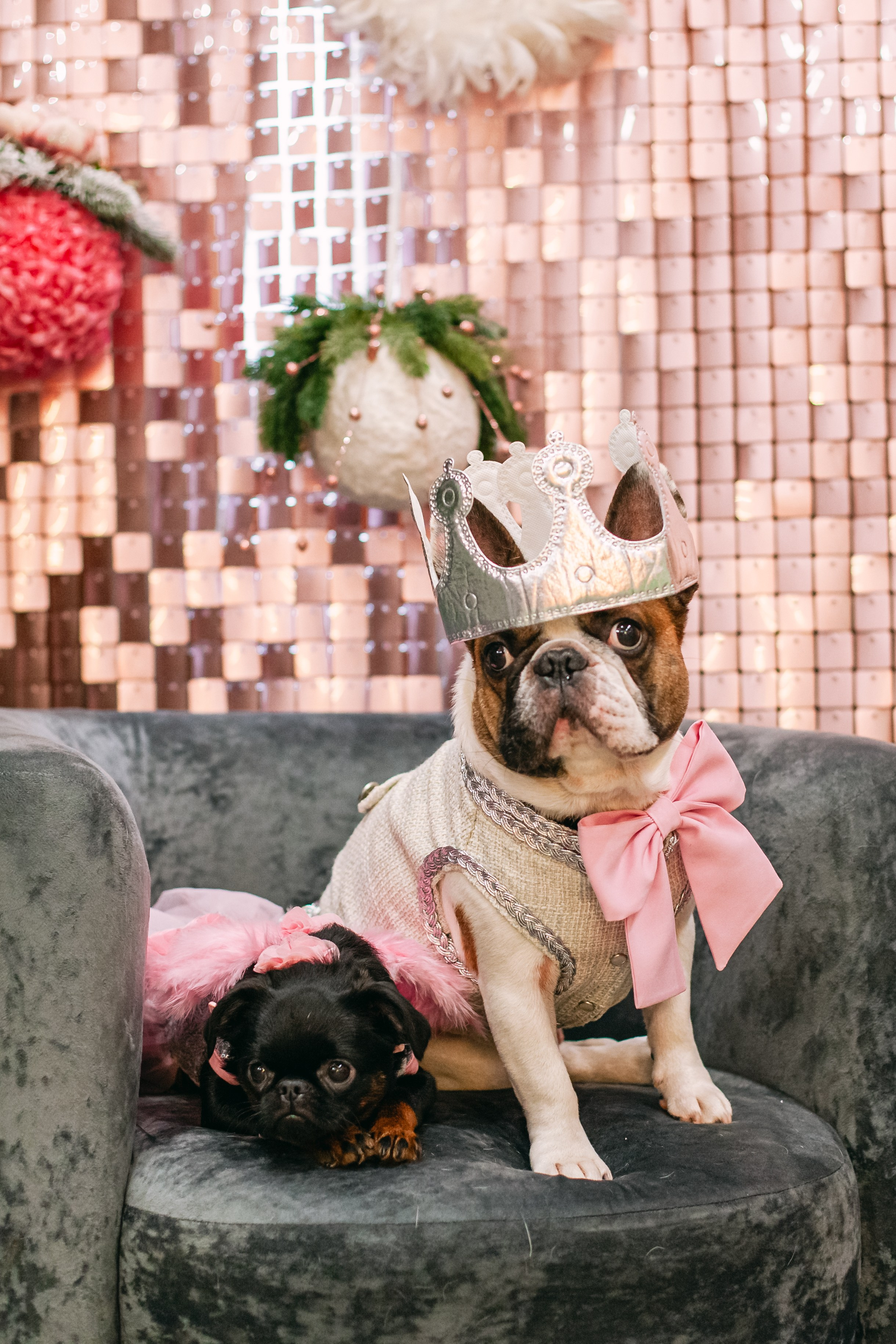 Бульёлка 2024. Фотограф-анималист Татьяна Степанова