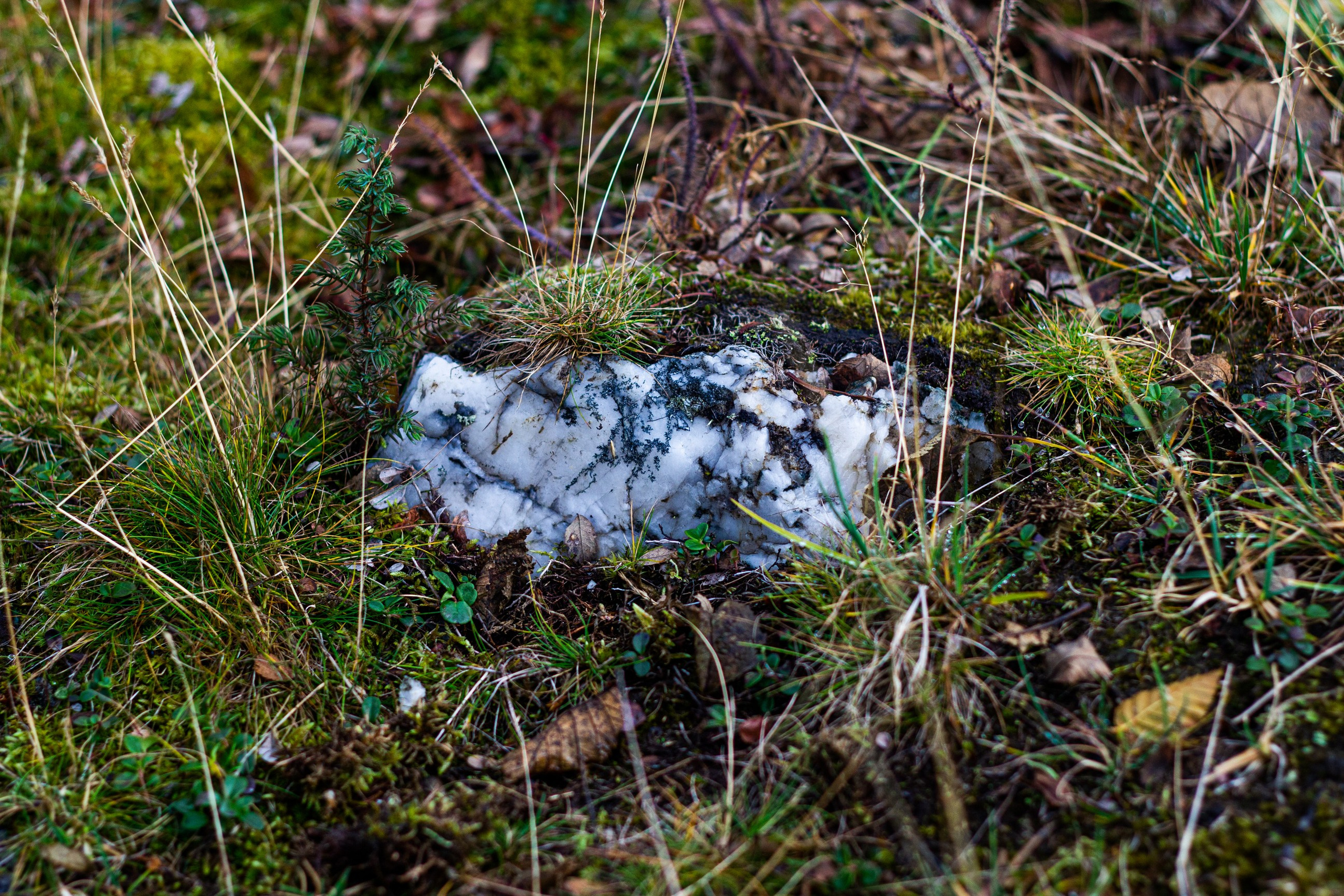 Станция Собь. Фотограф Екатерина Зорина