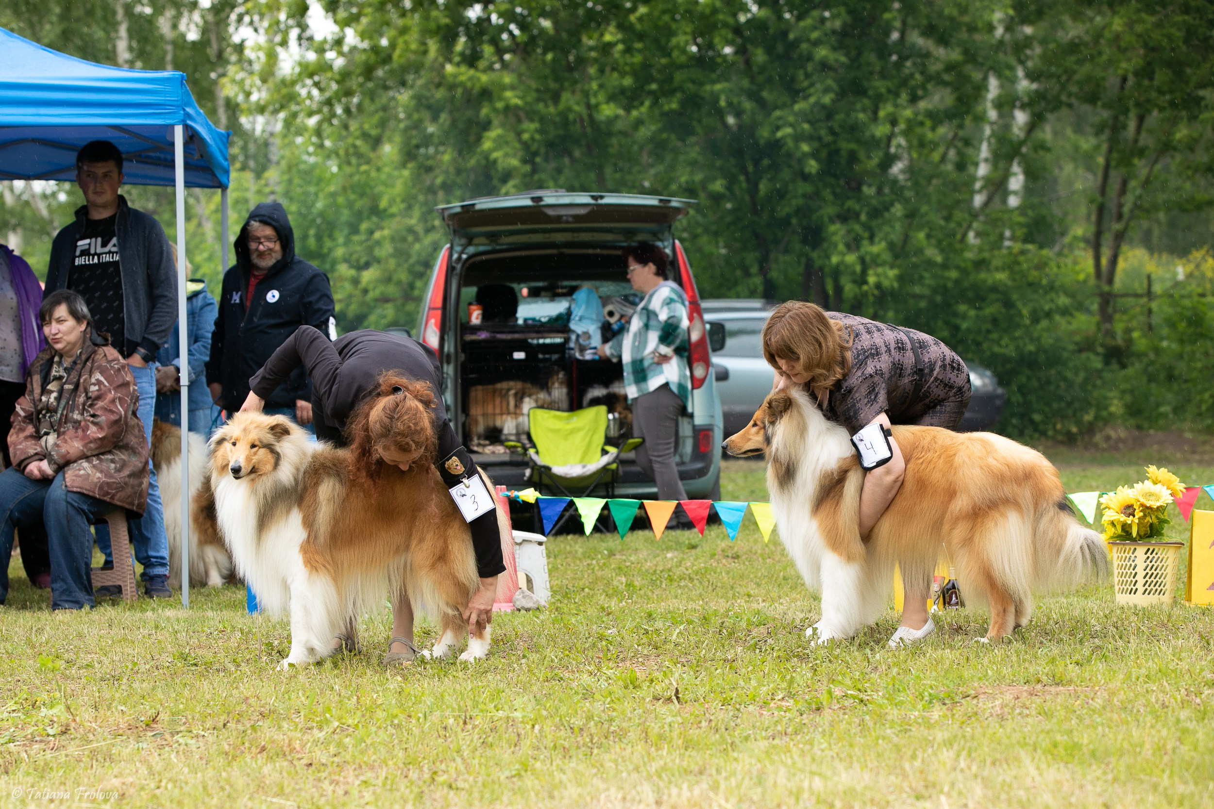 Фотосопровождение выставки собак в Московской области и Москве. Фотограф-анималист в Москве и Московской области Татьяна Фролова