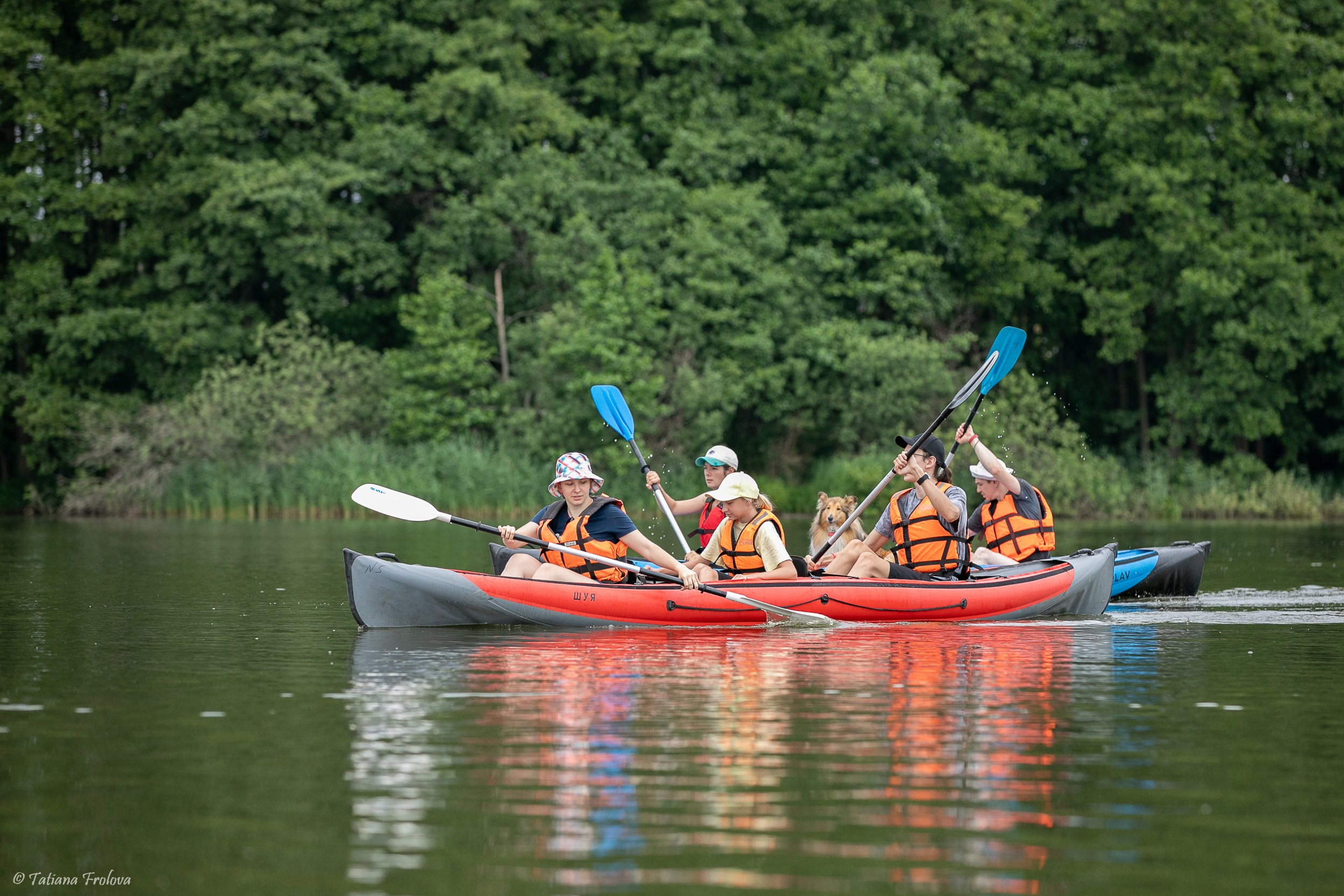 Фотоочет о сплаве на байдарках вместе с собаками. Фотограф-анималист в Москве и Московской области Татьяна Фролова