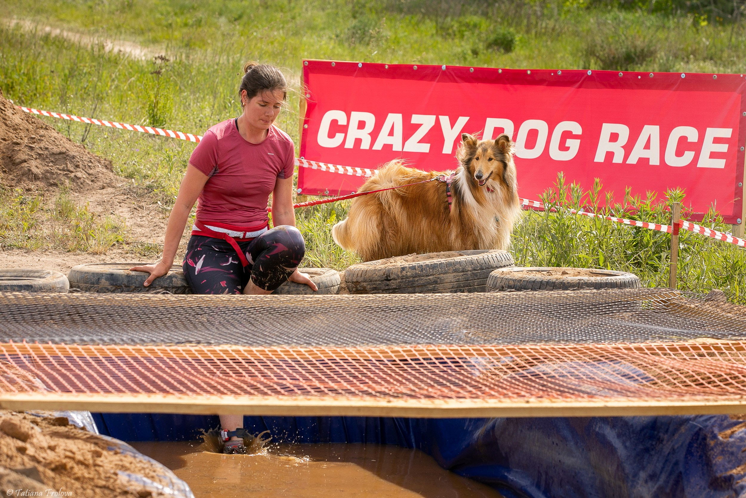 Фоторепортаж с забега с собаками. Фотограф-анималист в Москве и Московской области Татьяна Фролова