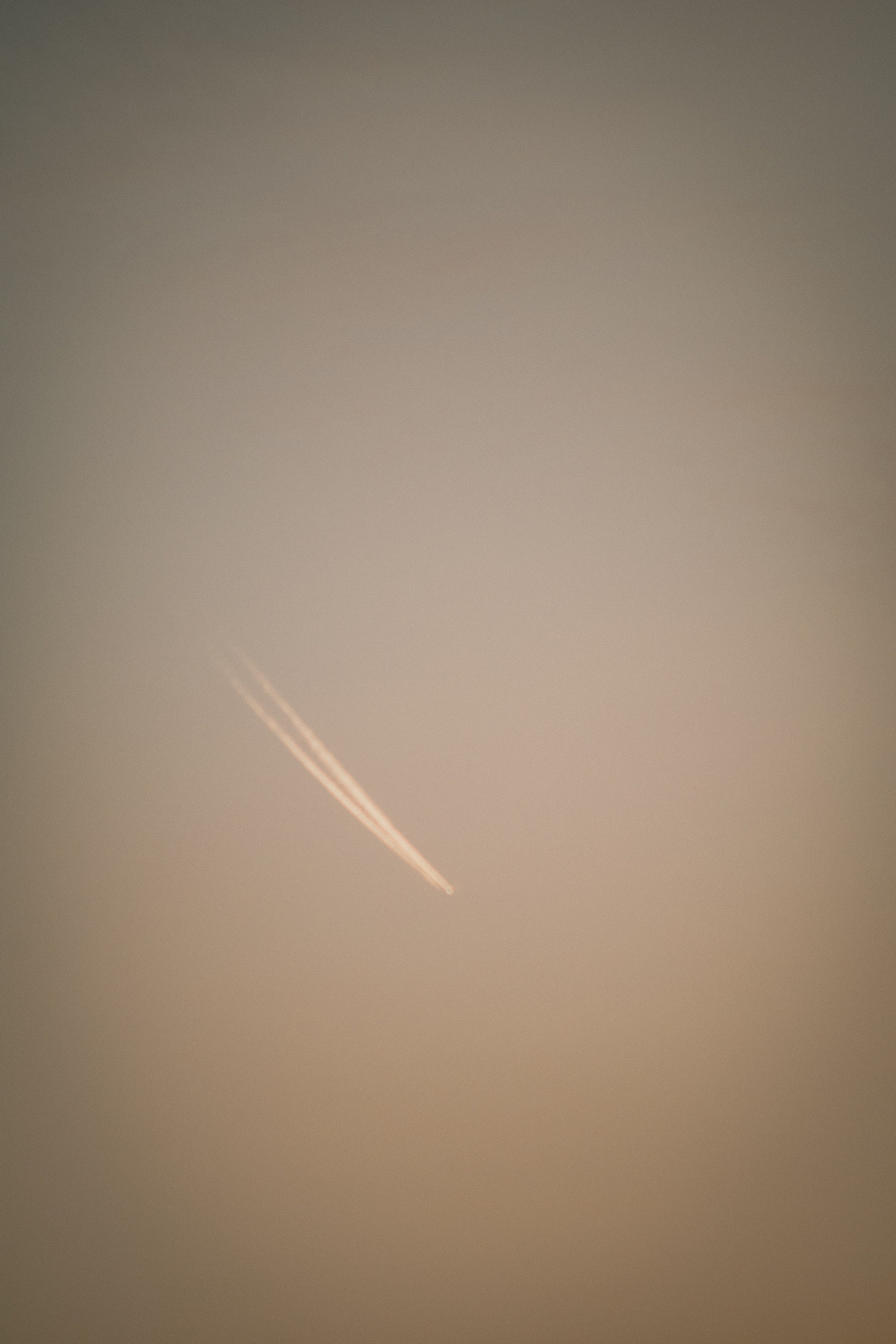 Визуальный дневник. Репортажный фотограф в Алматы Цой Сергей