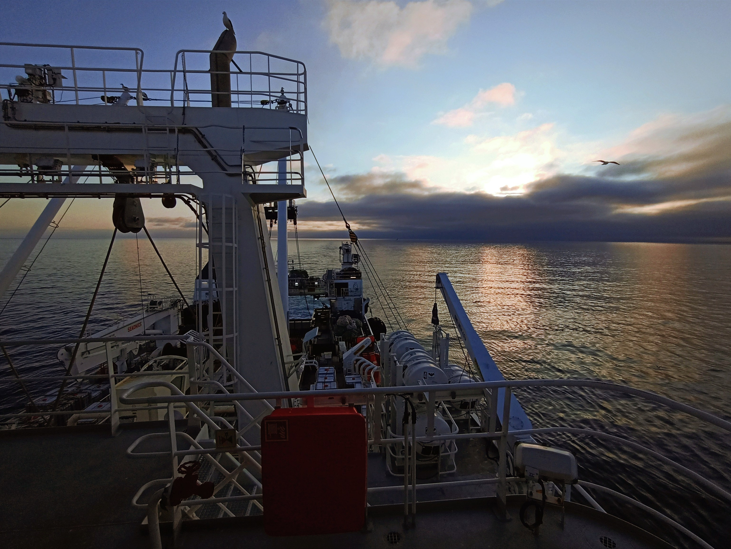 Мобильная фотография. Фотограф г. Владивосток