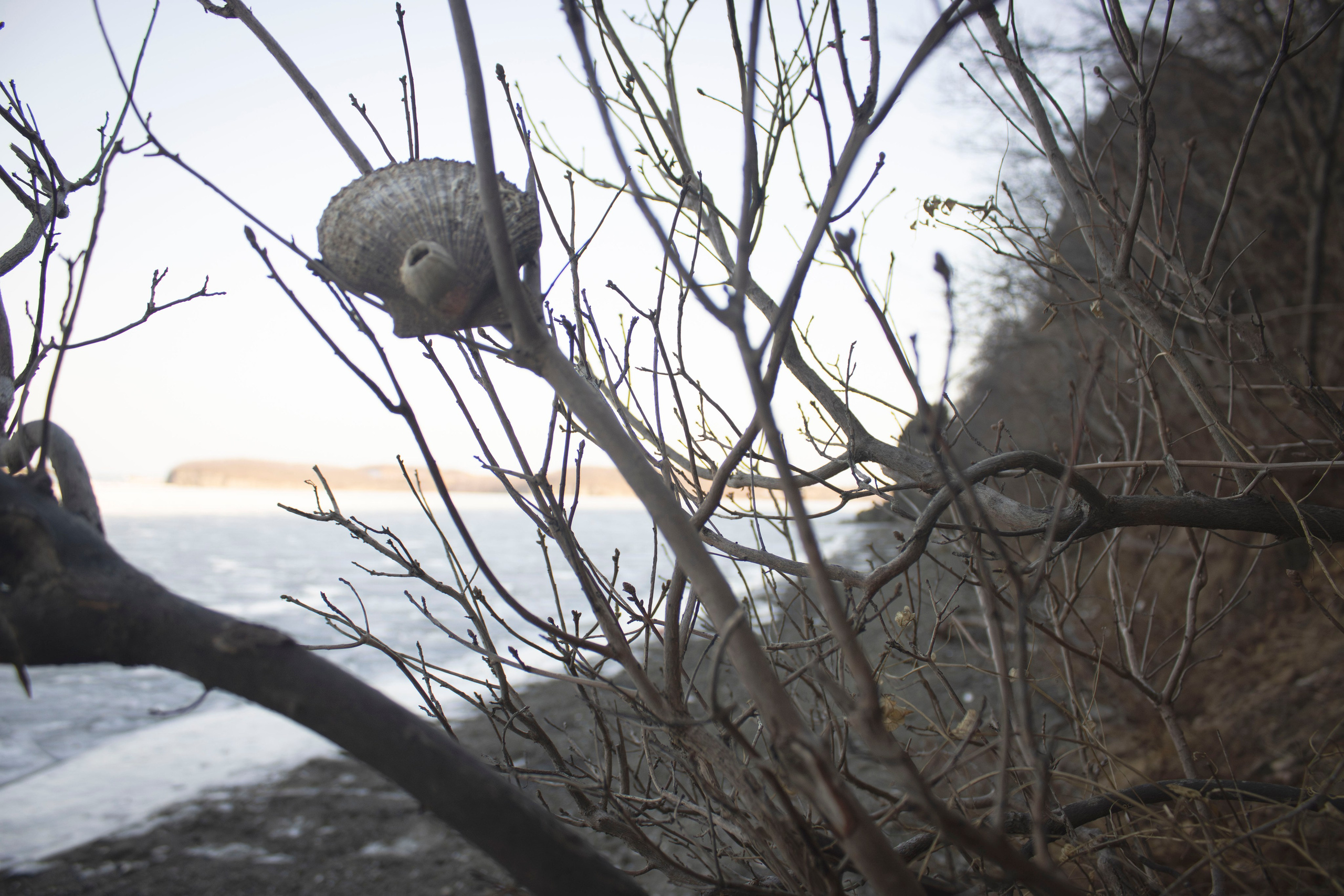 Творческий подход. Фотограф г. Владивосток