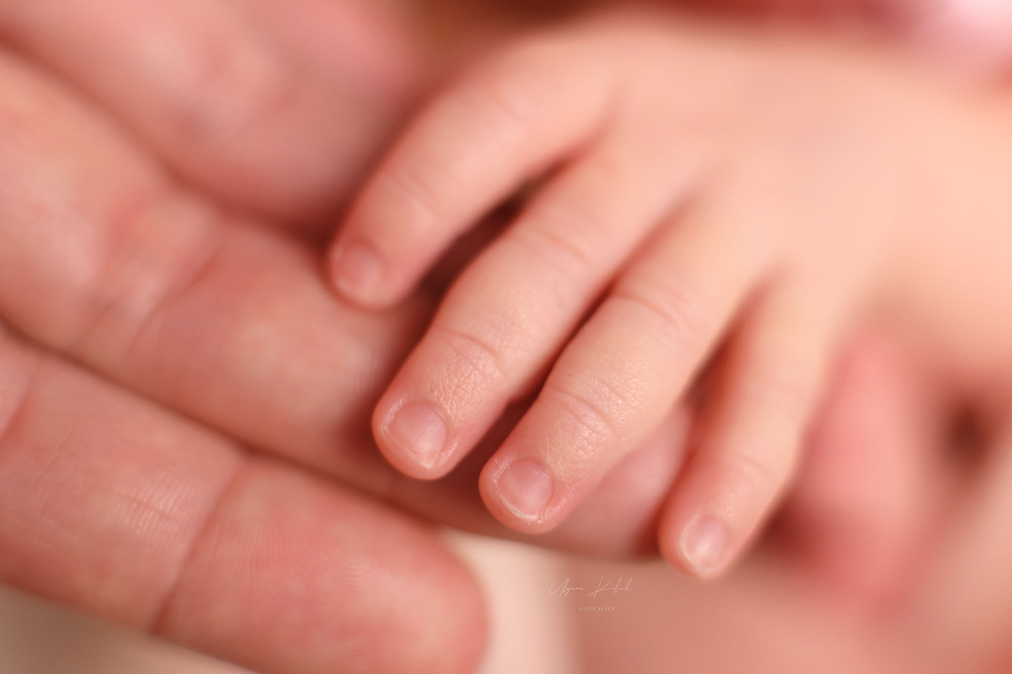 Маленький подарок. Фотограф беременности, новорожденных и детей до года в Астане