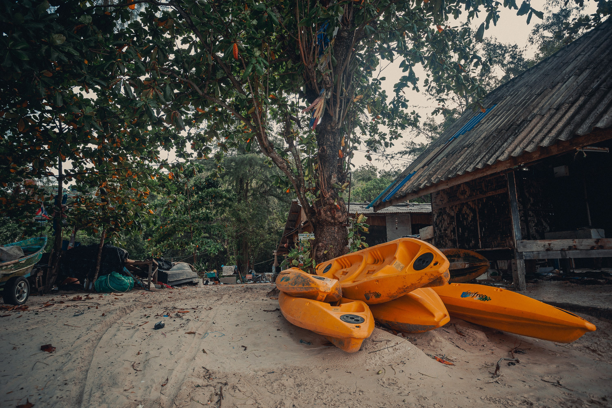 Таиланд. Фотошкола ArtFotoLife для начинающих и продвинутых фотографов